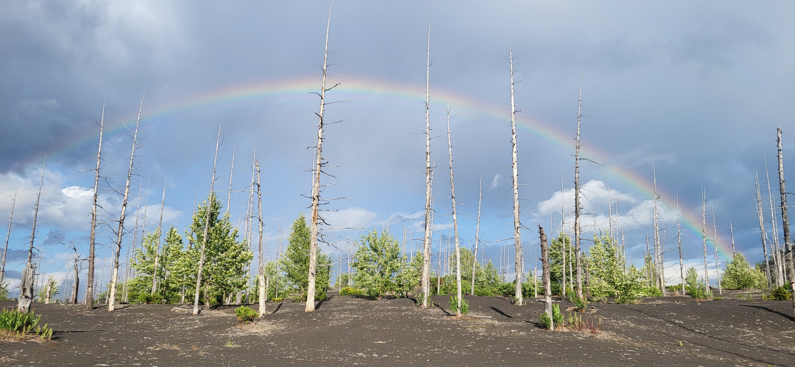 Толбачик. Экскурсионные туры по Камчатке