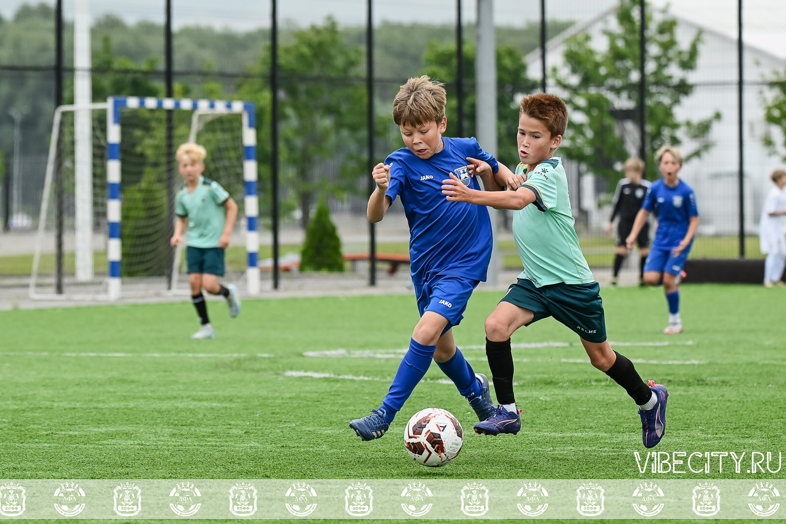 Калининградская Детская Футбольная Лига. VIBECITY.RU Вайб Сити Ру Фоторепортажи Фотоотчеты Калининград