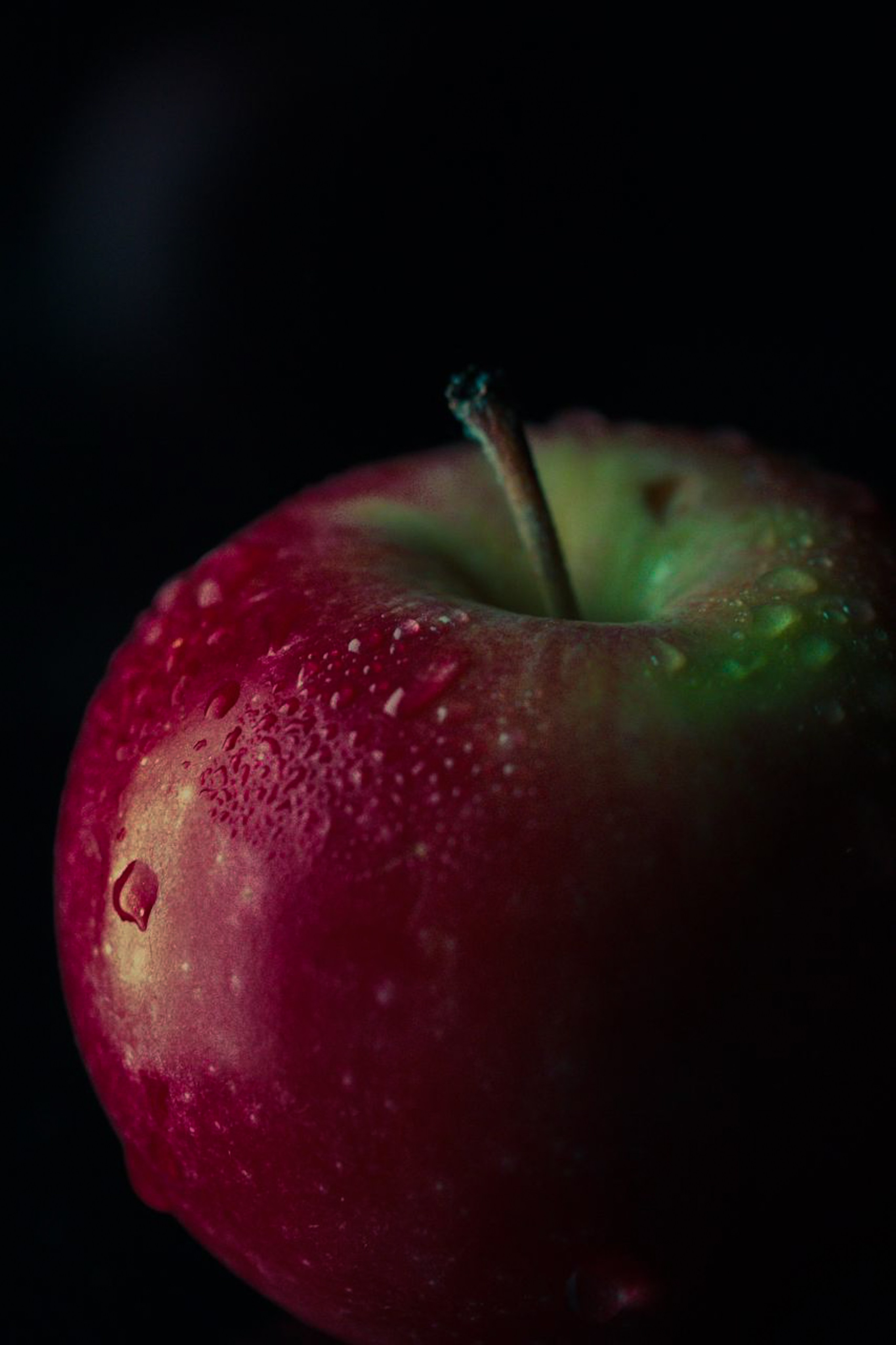 Курс «По предметной съемке и продвижению в Reels». Anushikcreates