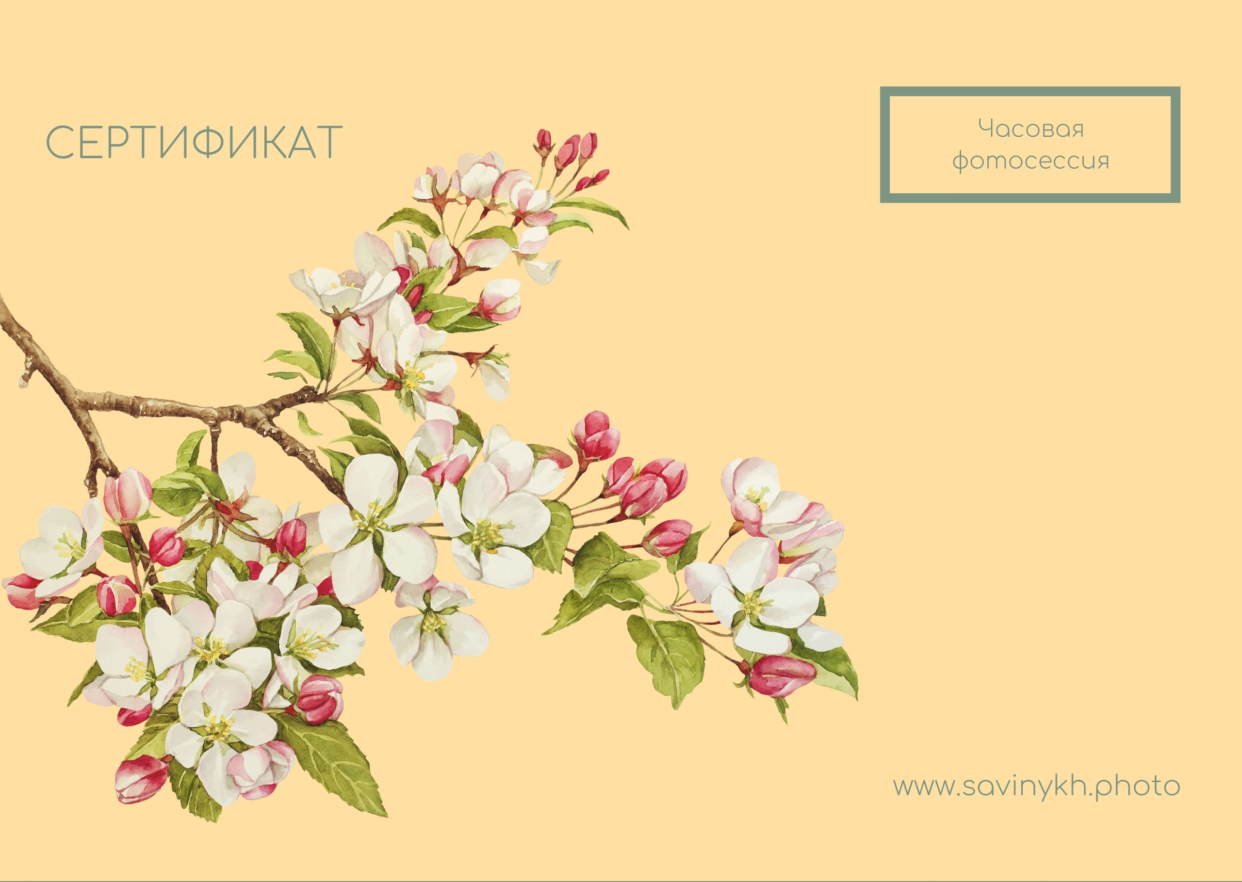 Подарочный сертификат на фотосессию | Артём Савиных фотограф Москва. Артём Савиных — профессиональный фотограф в Москве | Репортажи, свадьбы, портреты