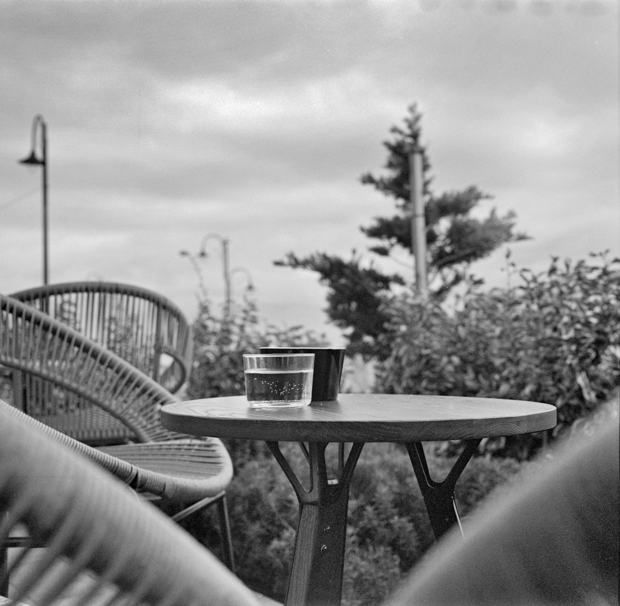 Альбом «Библиотека кофе» г. Анапа. Проект «Проявленные в кофе»