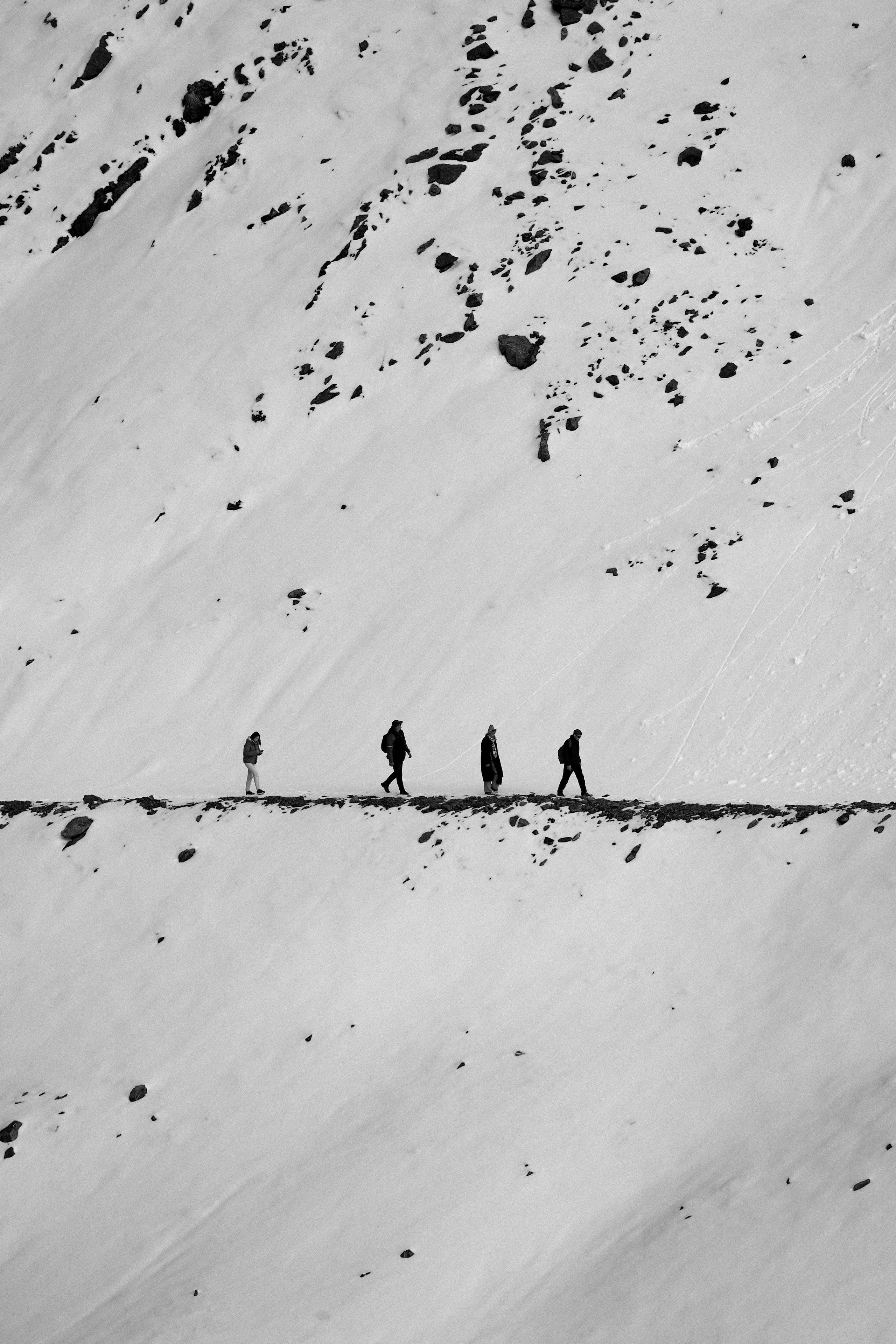 Принты. Марина Горбатова. Фотограф