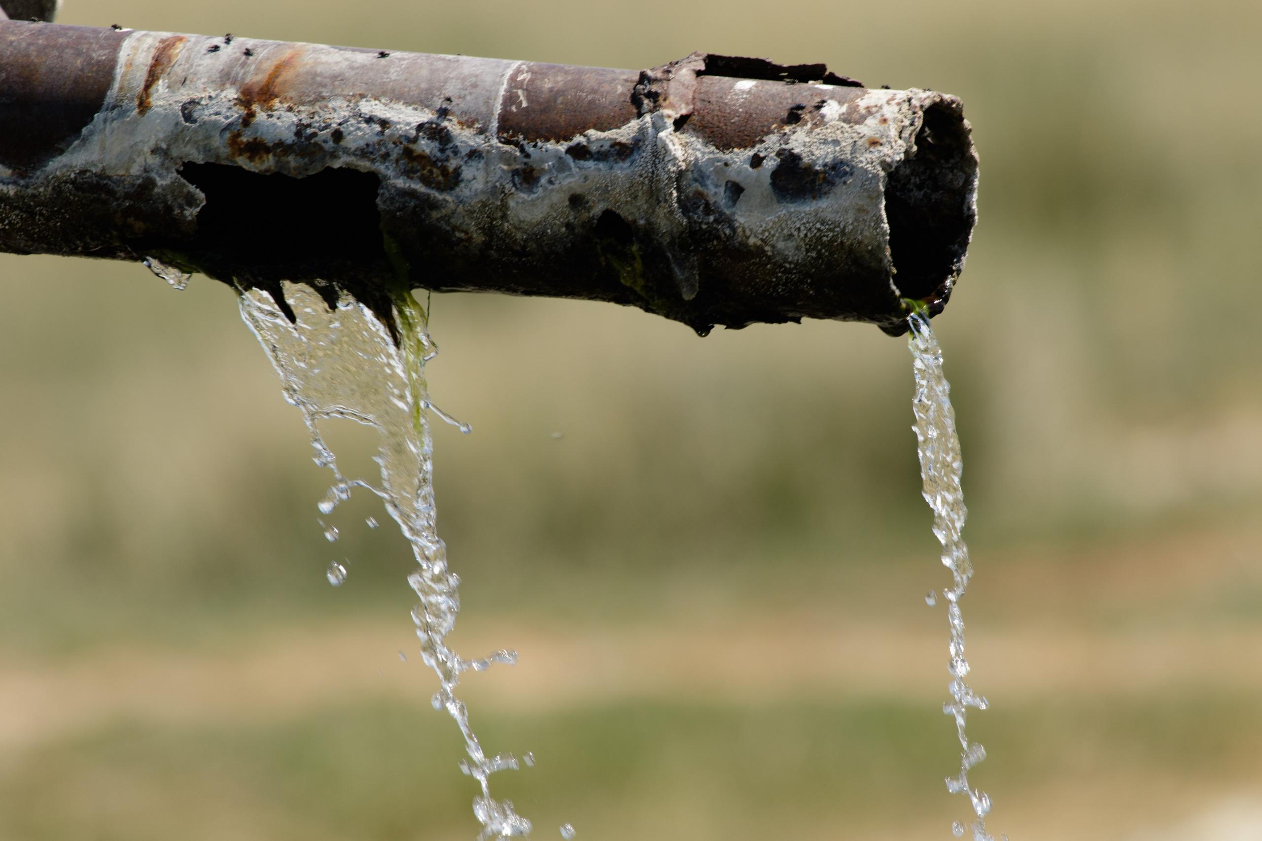 Горный Алтай. Фотограф Кирилл Мешков Кемерово