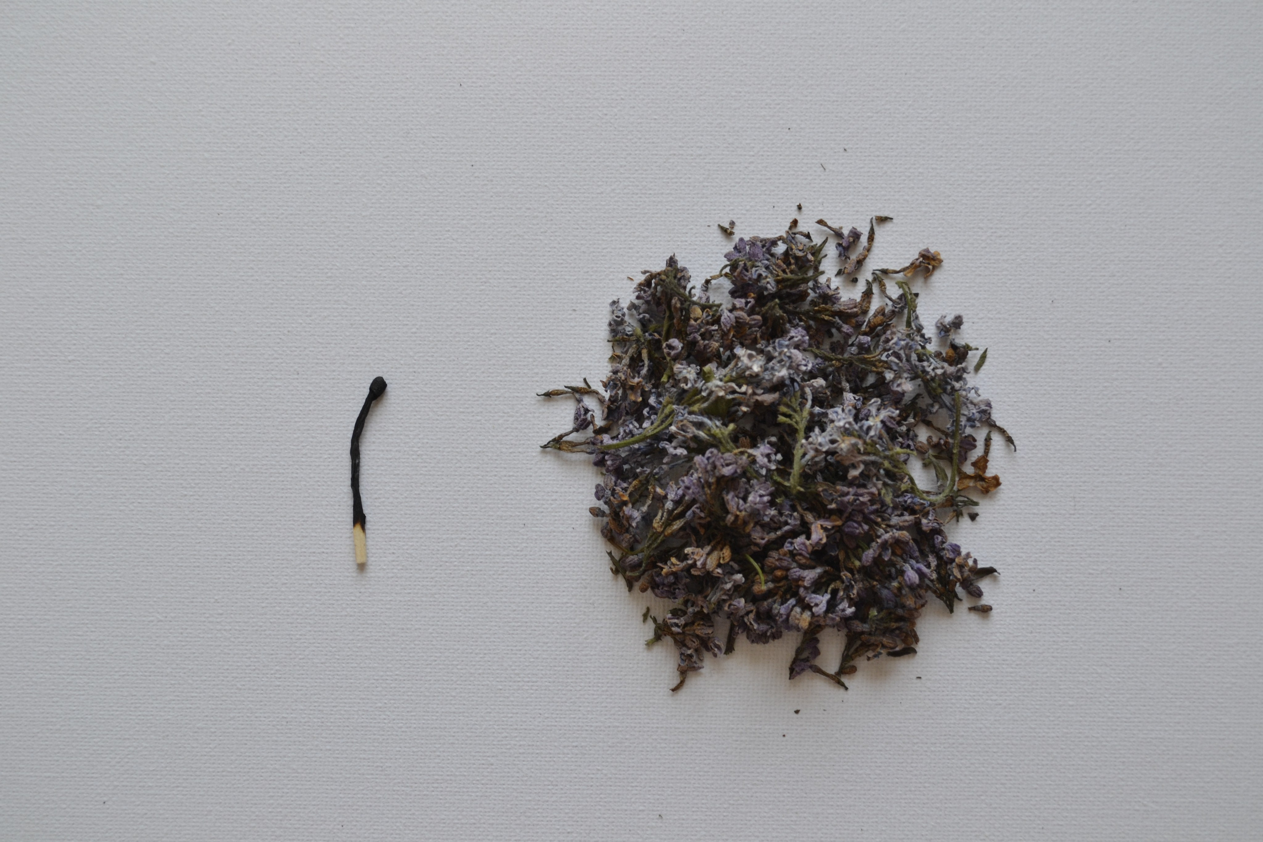 Светлана Пучкова | Мы — долгое эхо друг друга. Private image