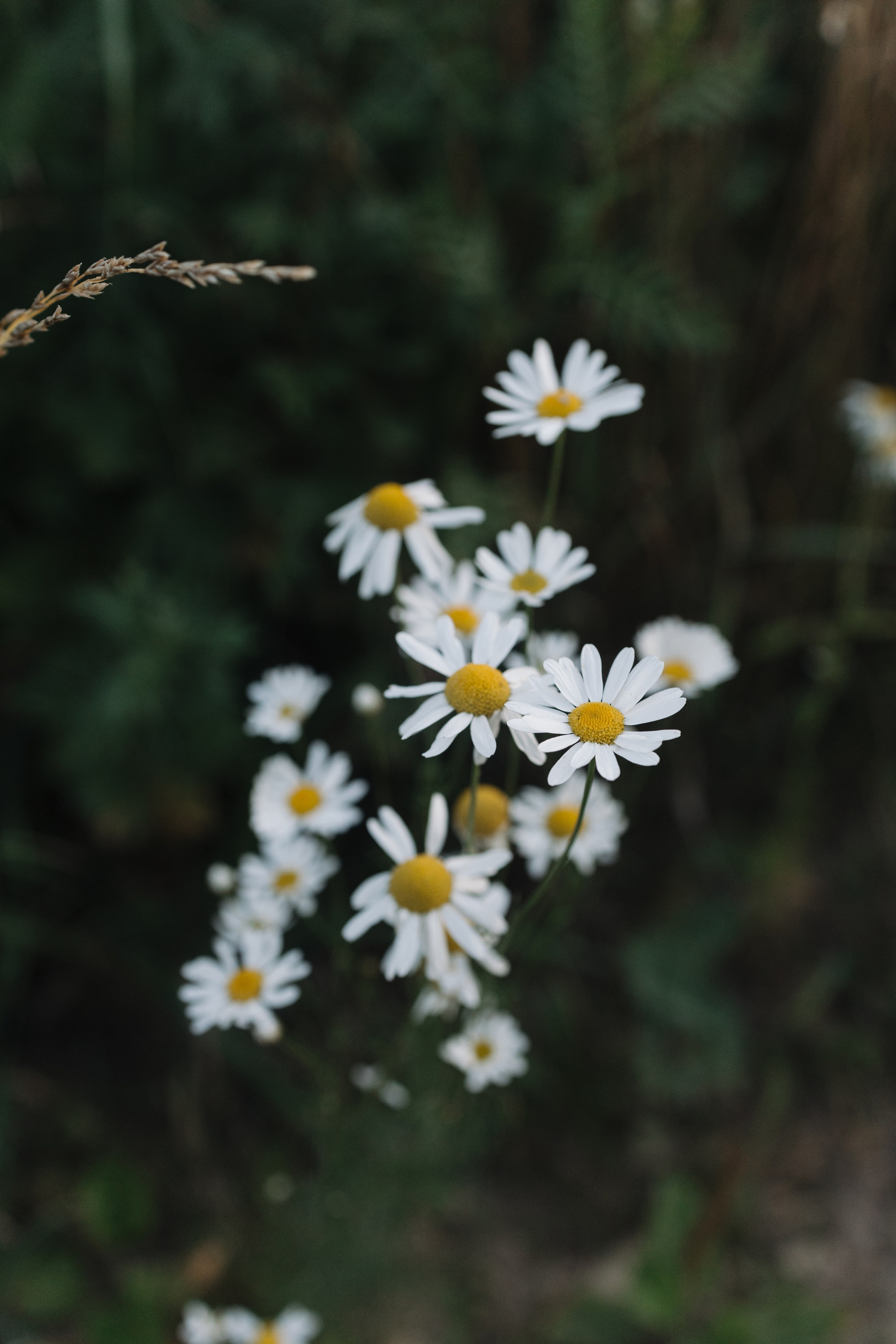 За городом. Про любовь