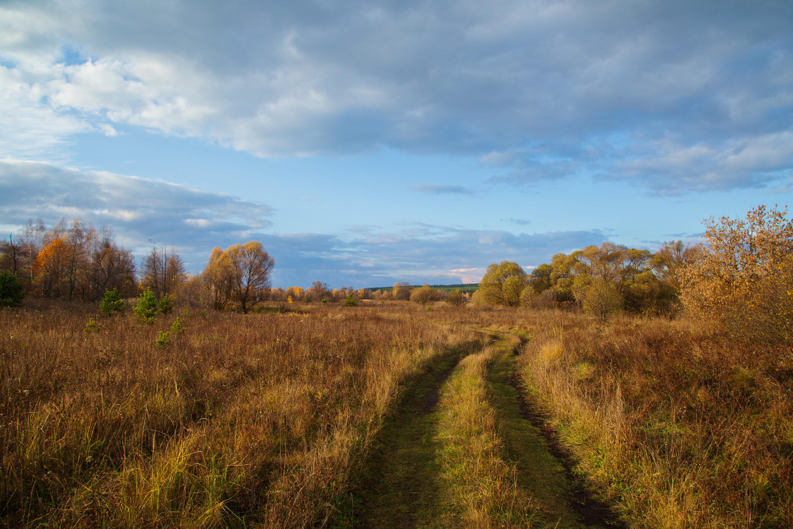 ТВОРЧЕСТВО. Творческая студия АЛНИфото