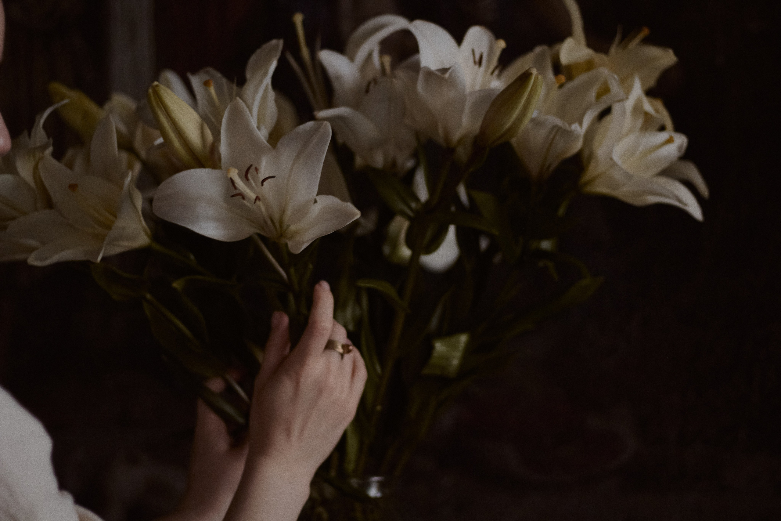 По мотивам Возрождения. Фотограф лавстори Москва/МО Приятелева Ангелина