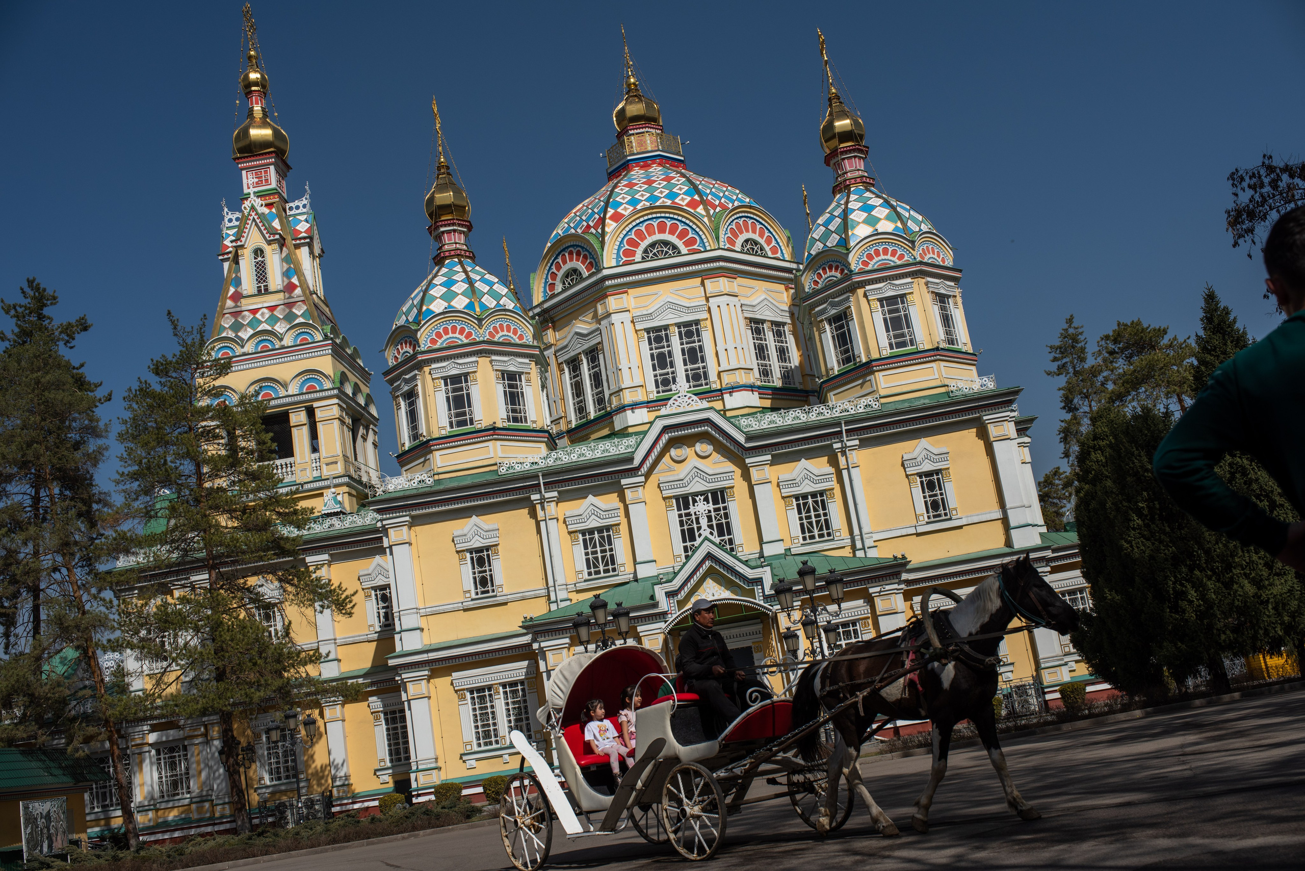 Репортажный, спортивный и документальный фотограф в Ташкенте Алексей Елисеев