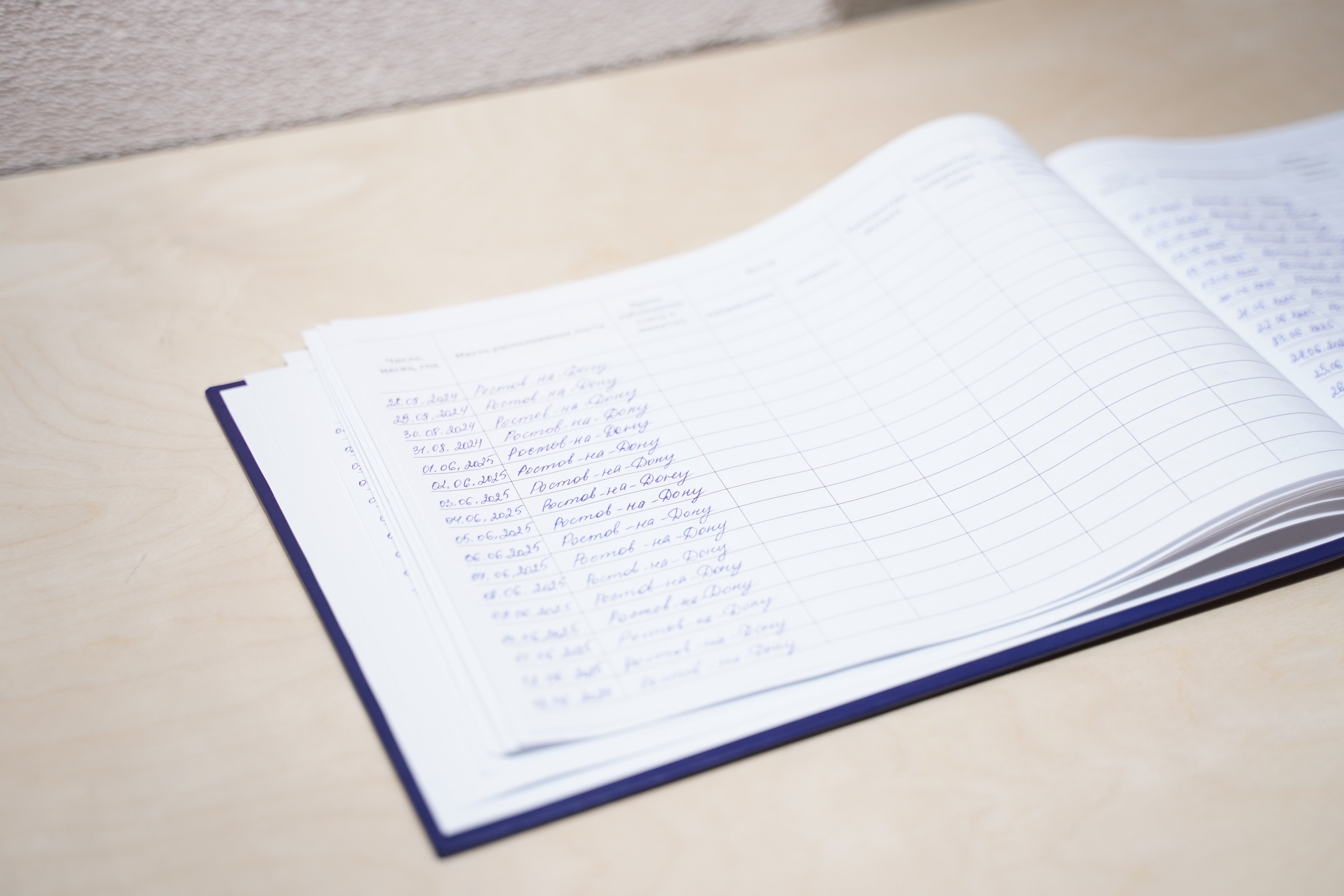 Полуденное, групповая выставка, 26.09-10.10, пространство «Союз», Тула. Лера Круглова