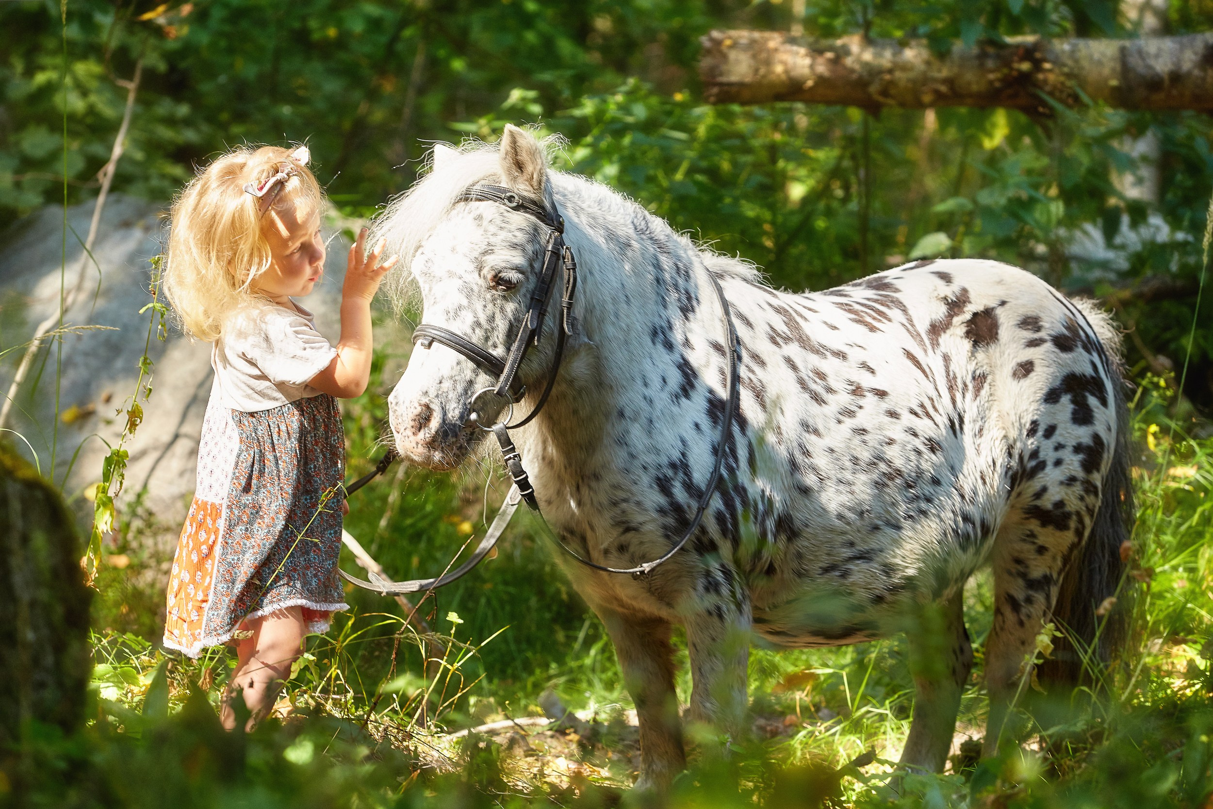Фотосессия с лошадьми Фотограф Михаил Семенов, г. Ярославль
