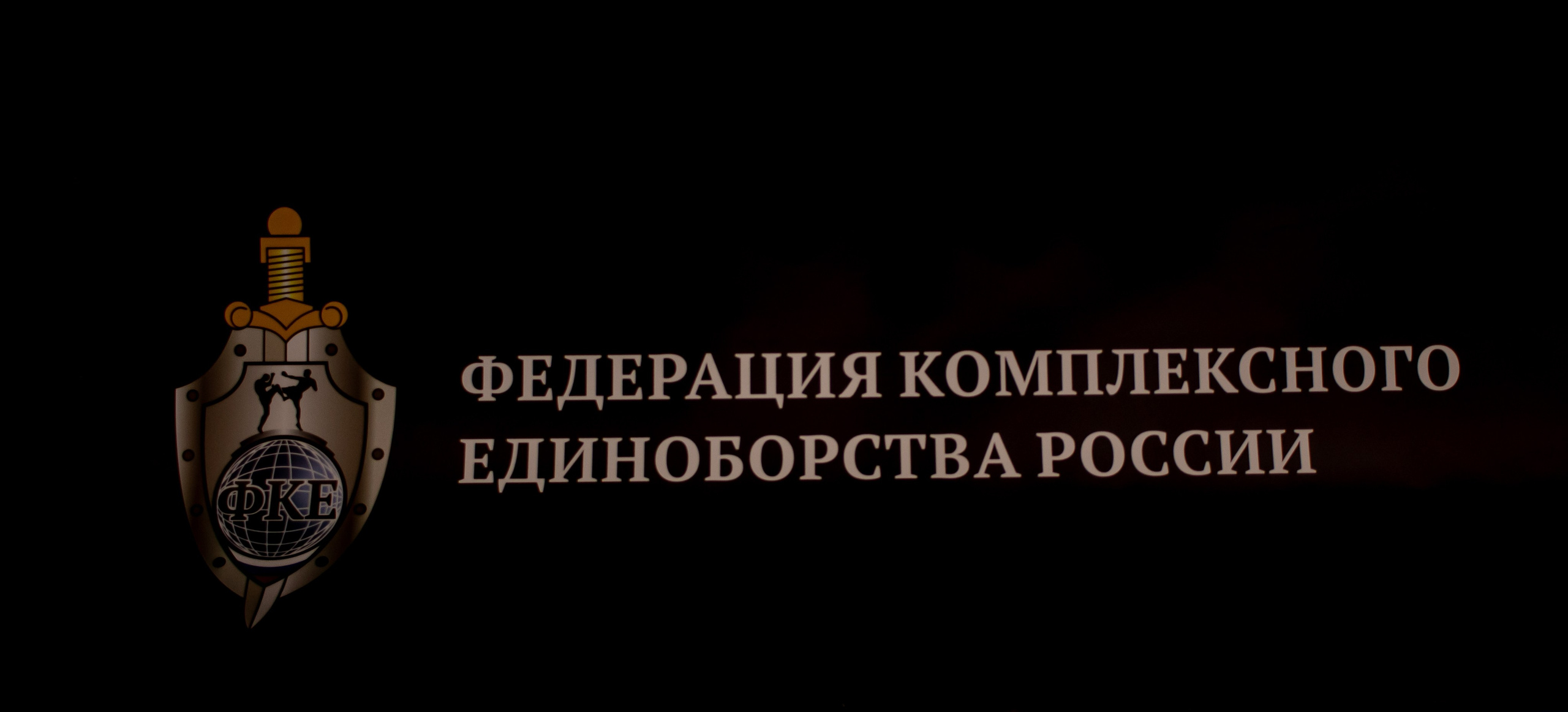 Торжественное открытие XXII Международного турнира ОДКБ в Подмосковье | Клуб «Вепрь» Красногорск