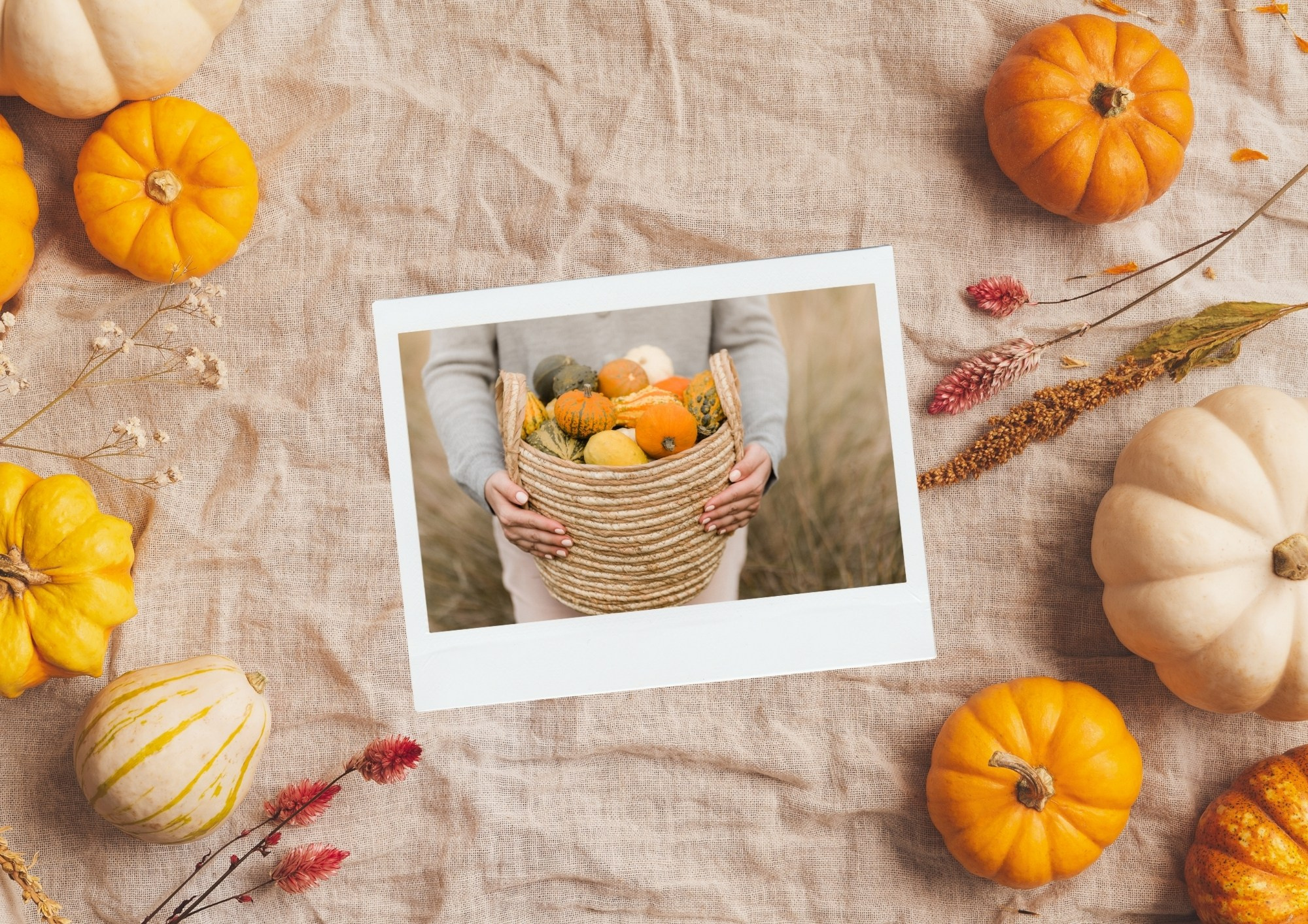 ребёнок играет с листьям на фоне осеннего парка