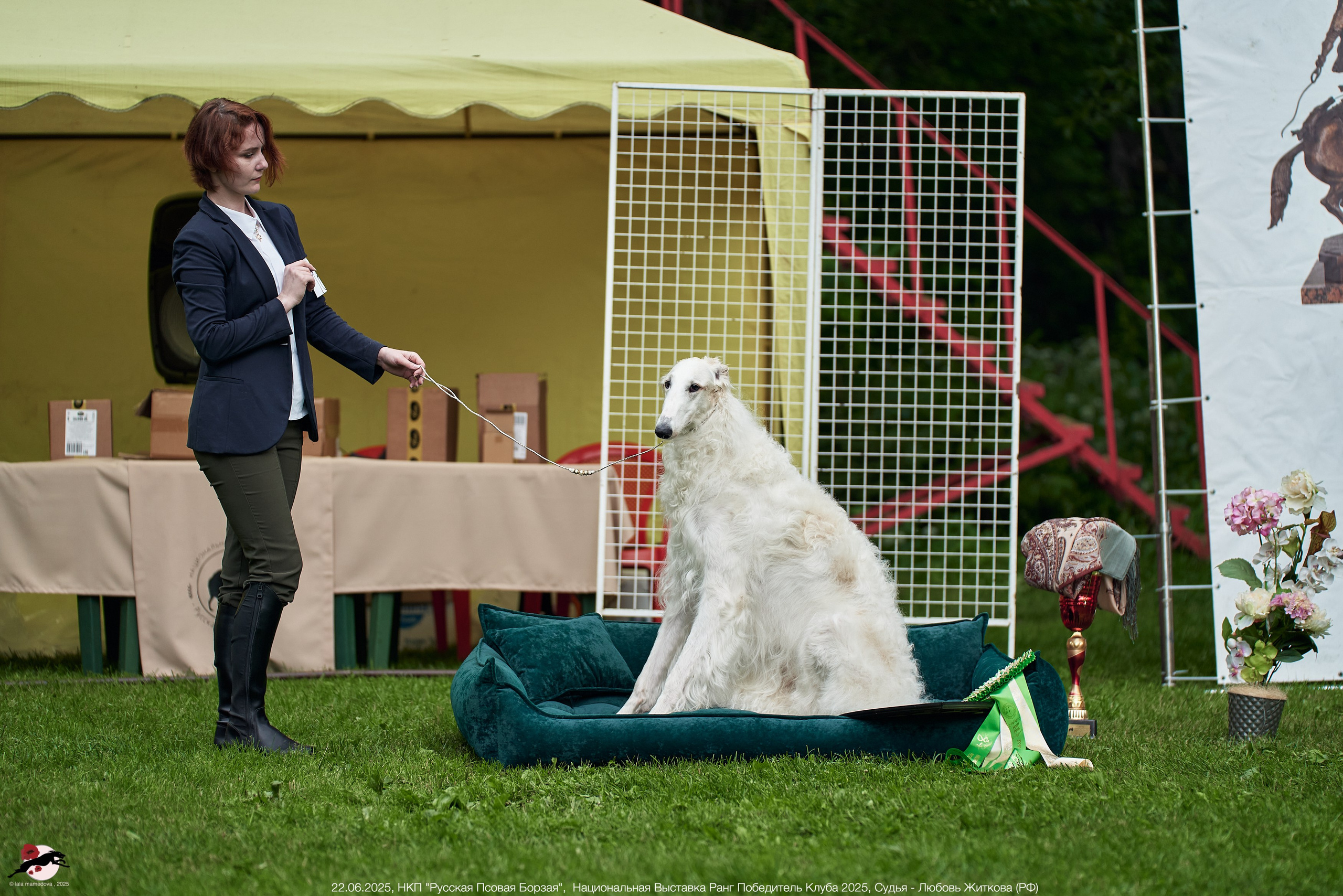 22.06.2025 | Национальная Выставка НКП "Русская Псовая Борзая"