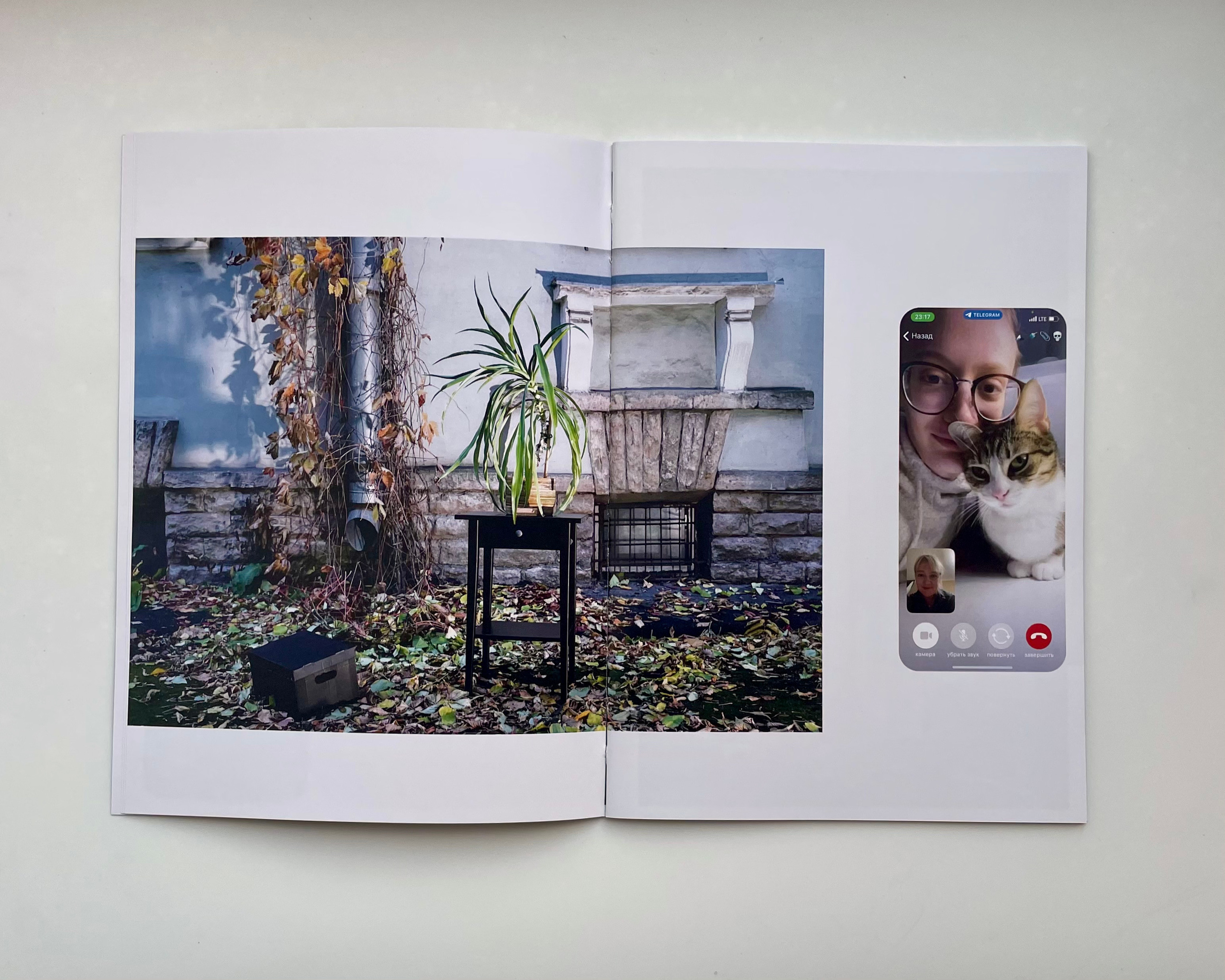 Пушистые. Наталья Орешина документальный и арт-фотограф из Санкт-Петербурга