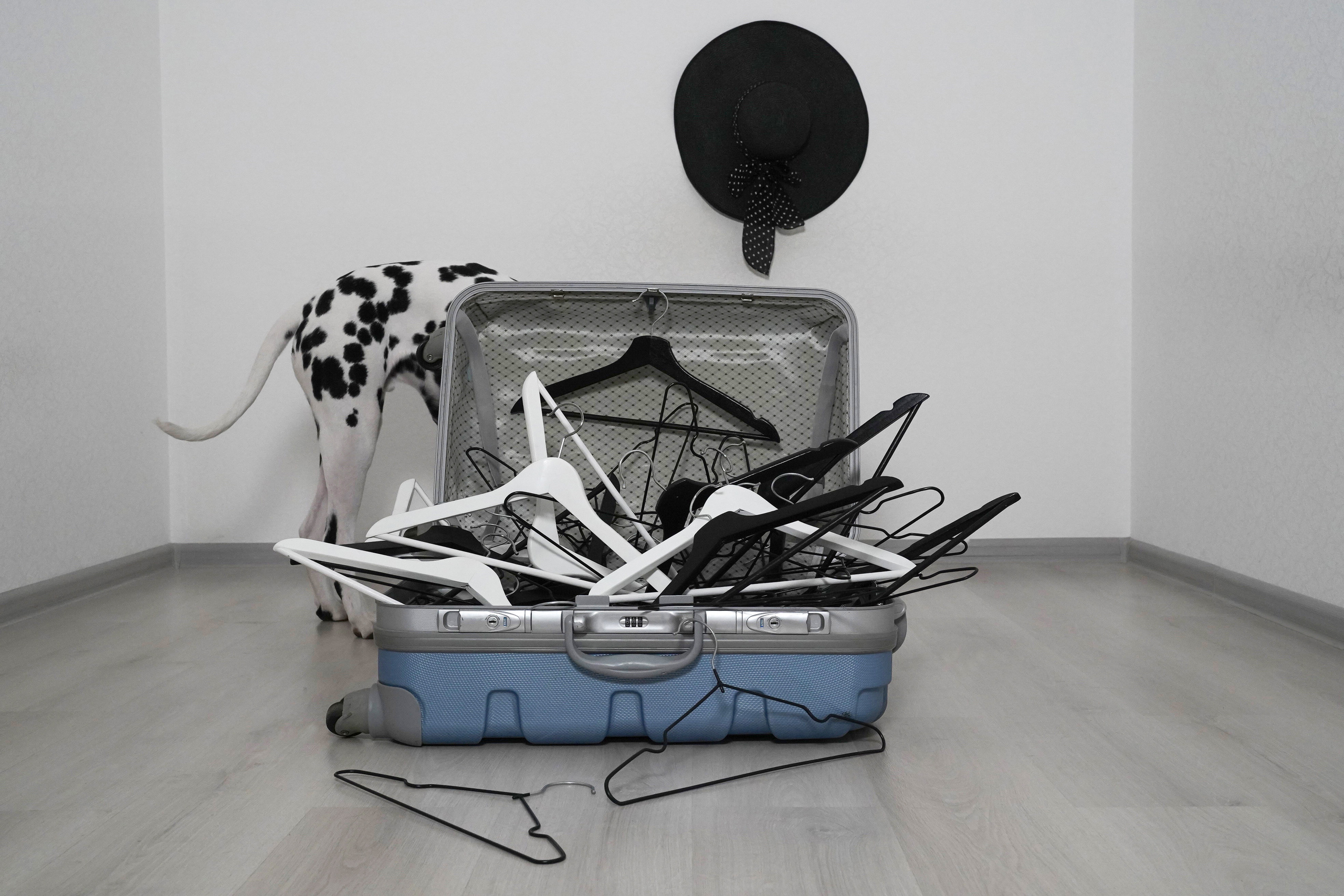 Пушистые. Наталья Орешина документальный и арт-фотограф из Санкт-Петербурга