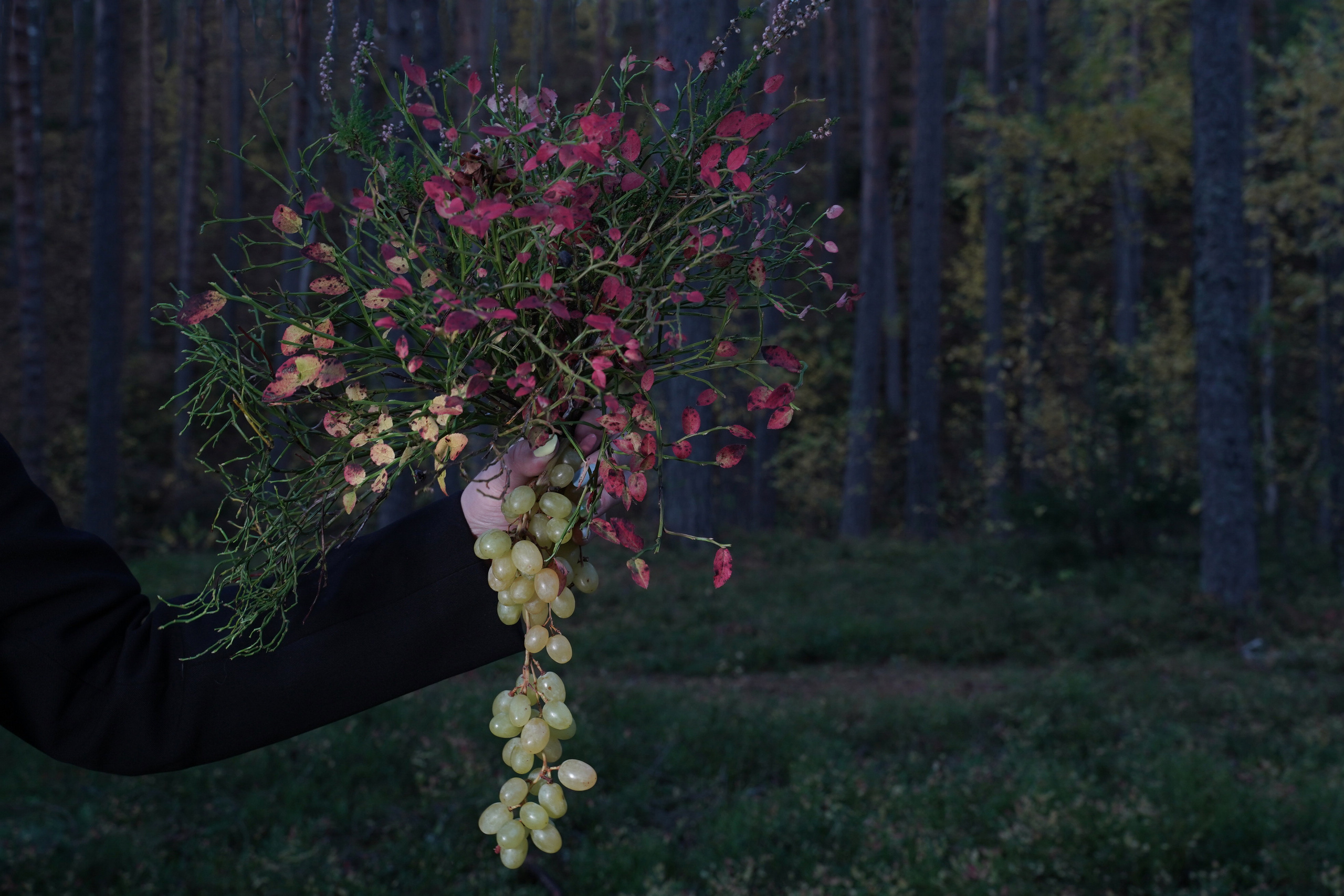 Пушистые. Наталья Орешина документальный и арт-фотограф из Санкт-Петербурга