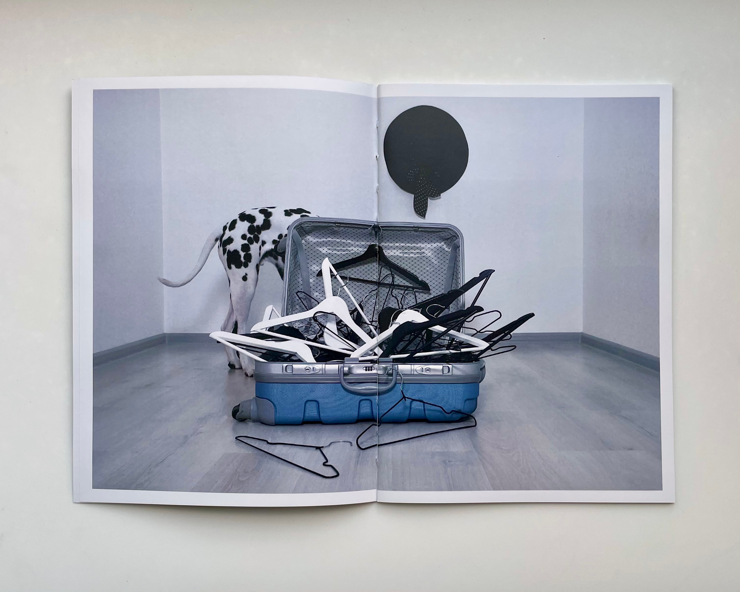 Пушистые. Наталья Орешина документальный и арт-фотограф из Санкт-Петербурга