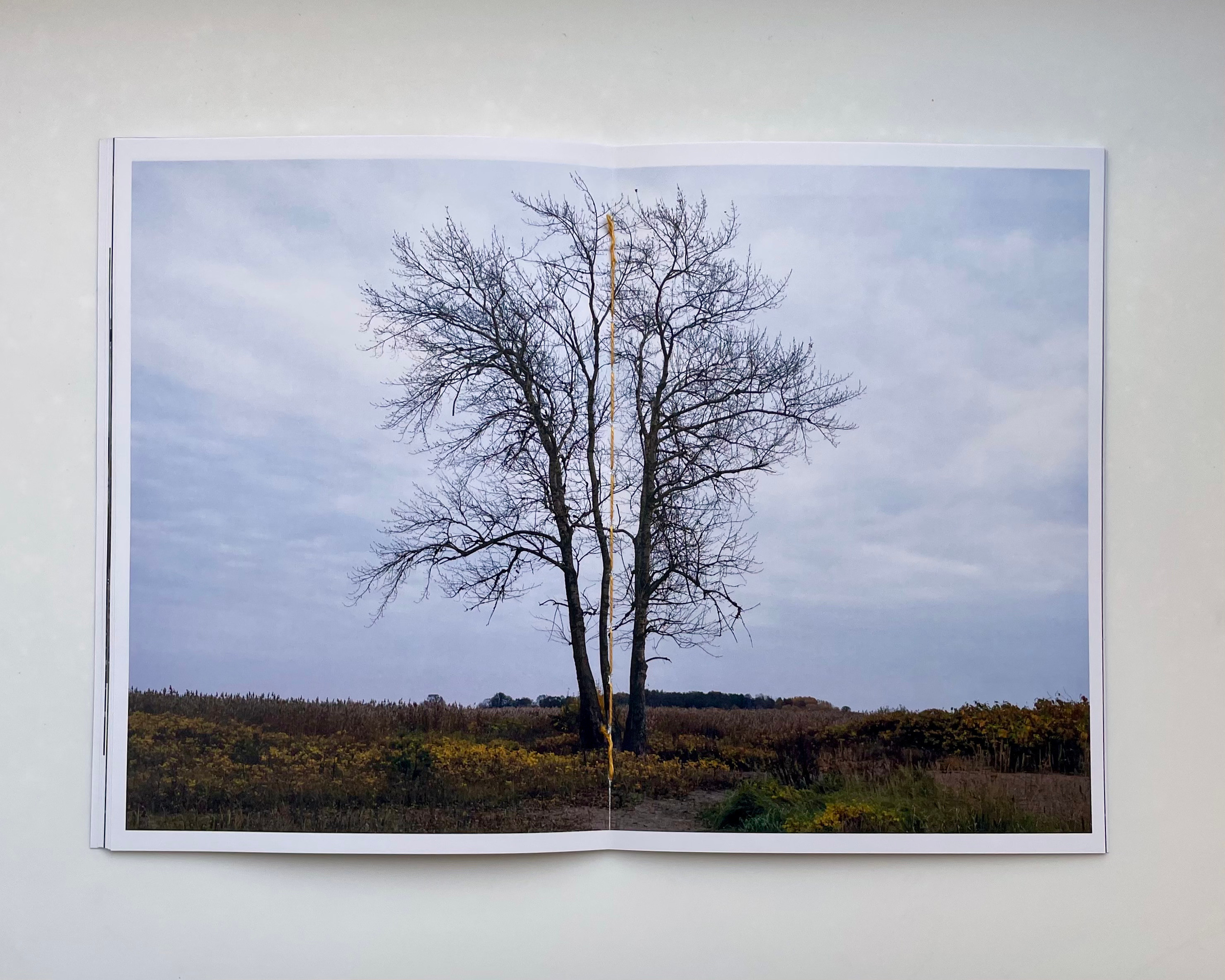 Пушистые. Наталья Орешина документальный и арт-фотограф из Санкт-Петербурга