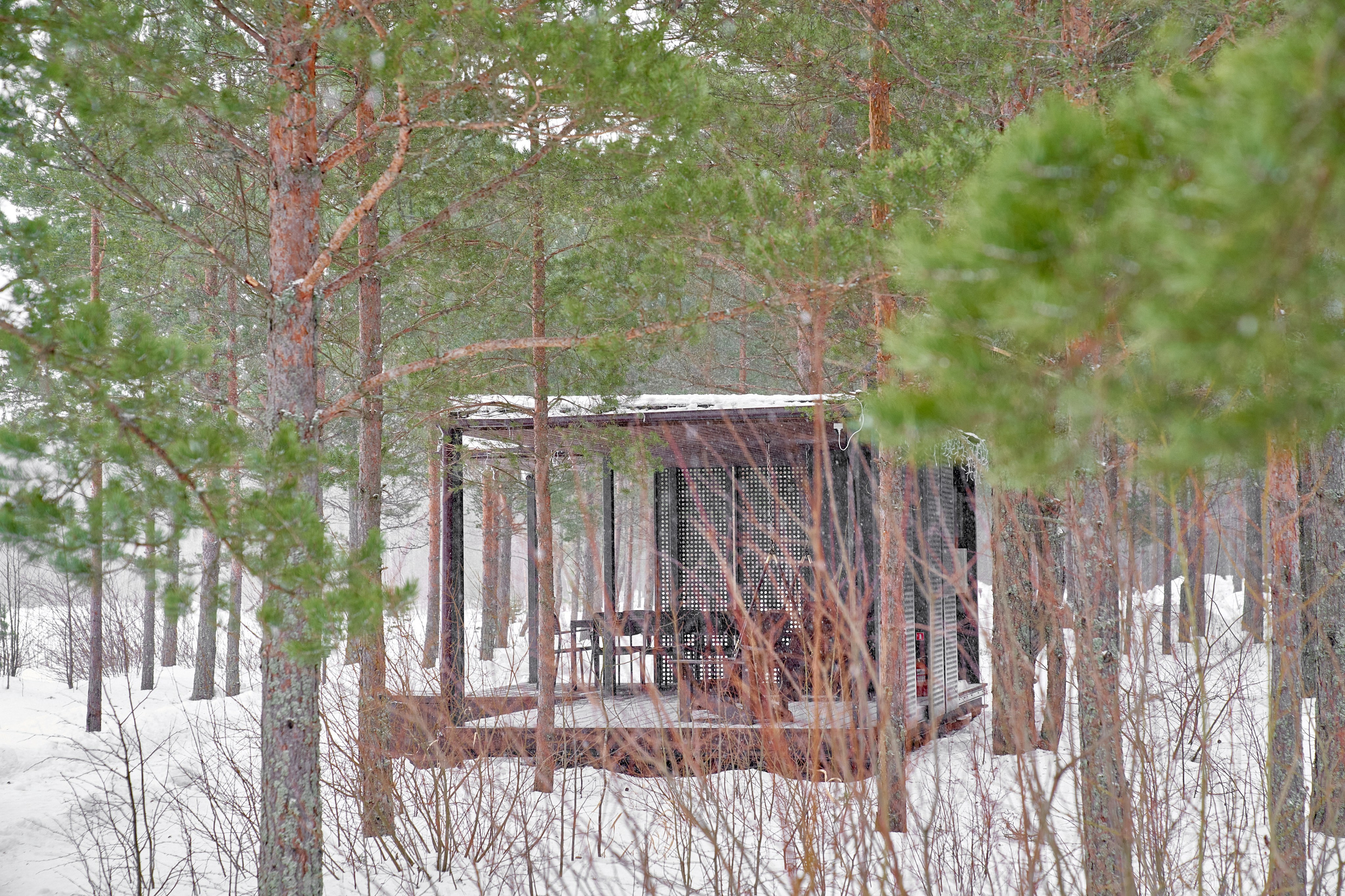 ТОЧКА НА КАРТЕ — ПРИОЗЕРСК