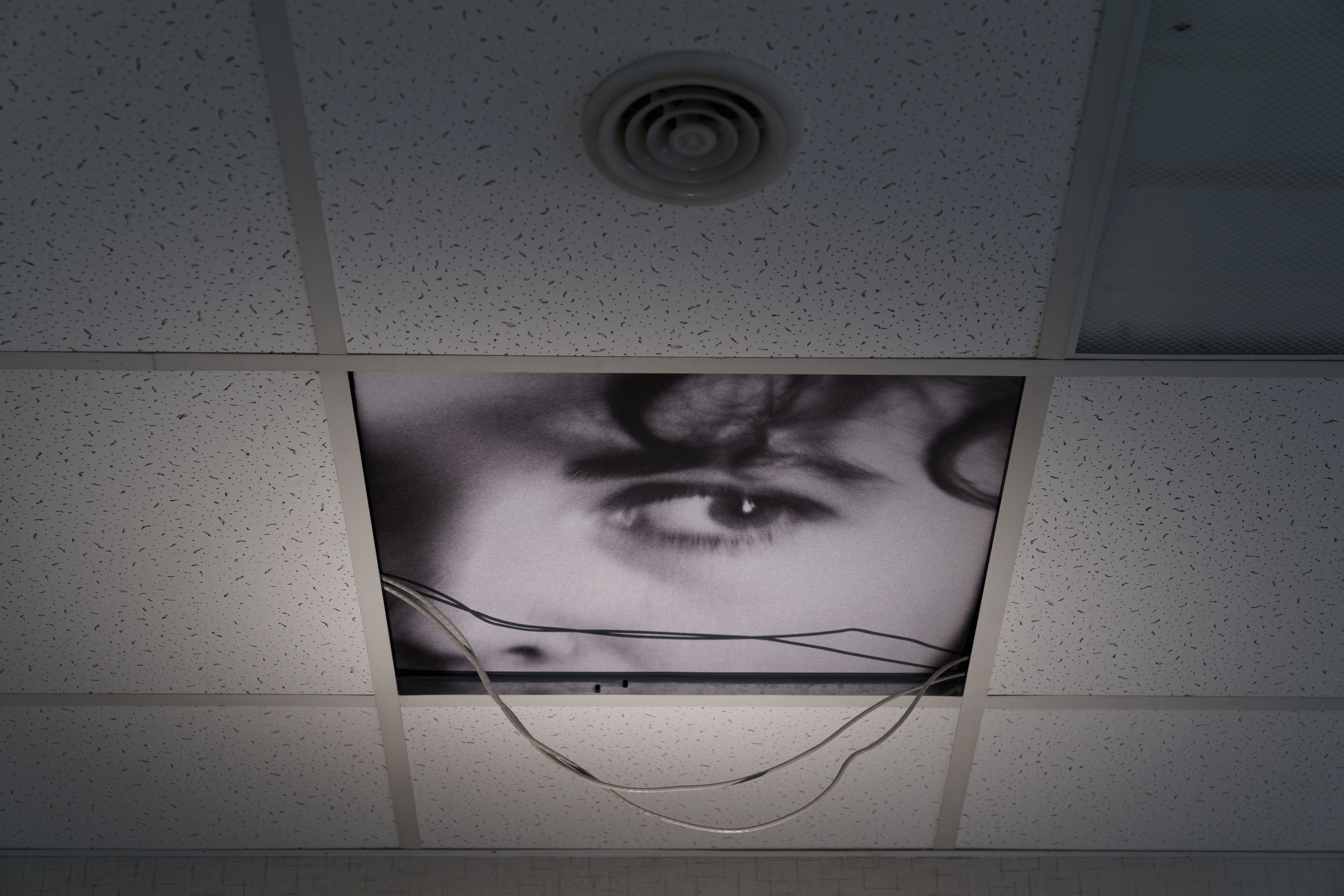 Выставка «Маленький человек» в Нижнем Новгороде. Elena Anosova is an award-winning visual artist