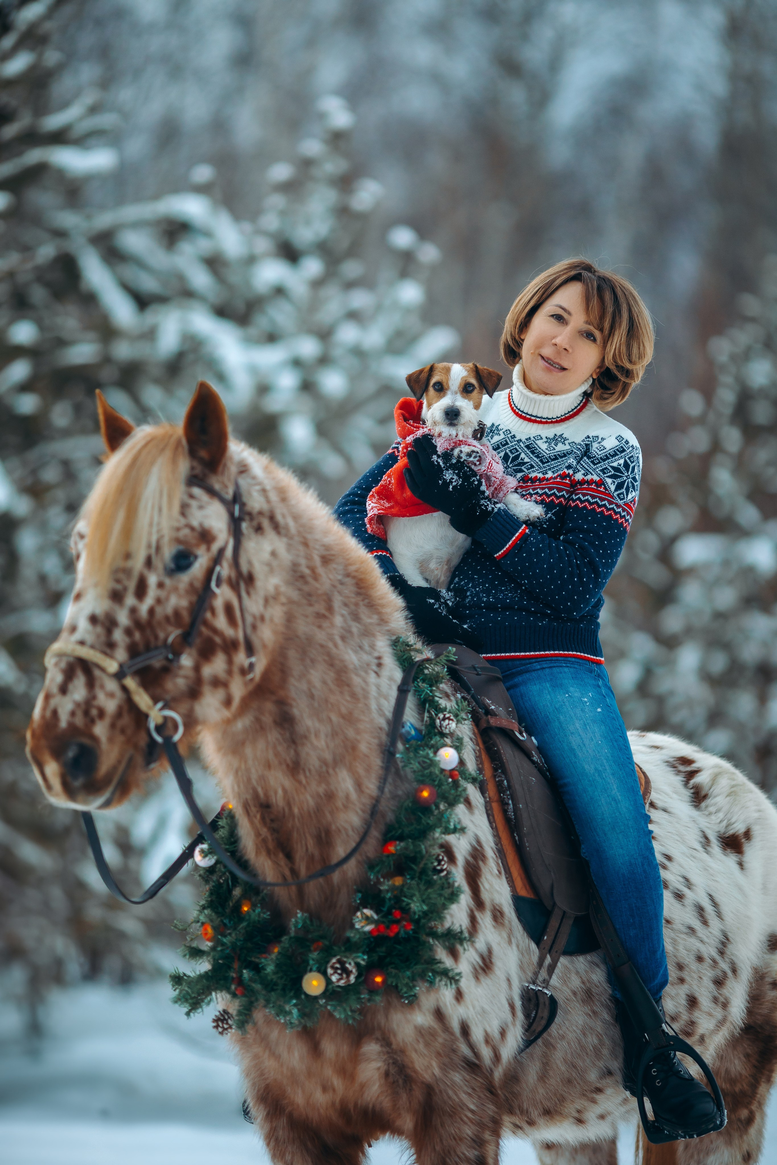 Тариф новогодний 2024. Анна Молчанова конный фотограф в Тюмени | фотосессии с лошадьми Тюмень