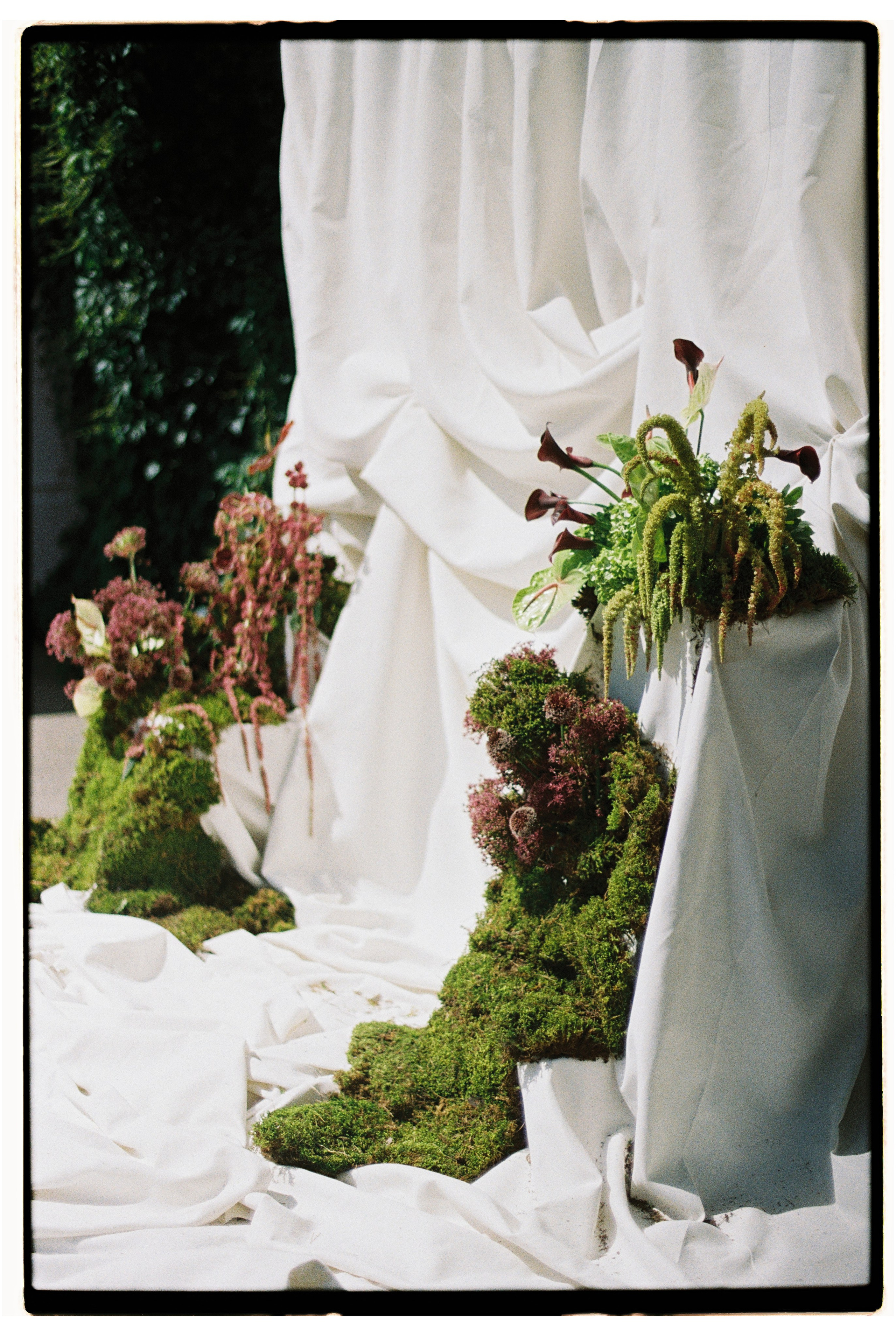 Фотограф Елена Маринина Москва