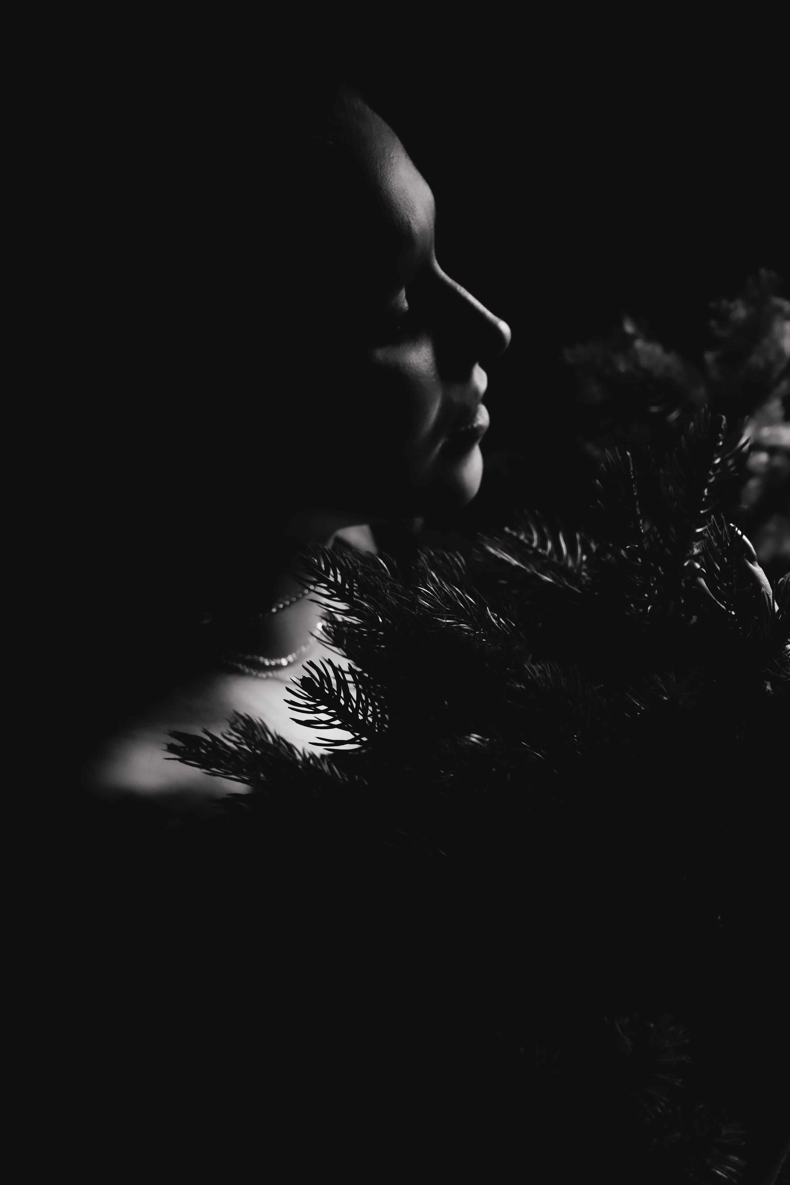 Вергилия. Кучерявая || Фотограф || Самара·Питер·Москва