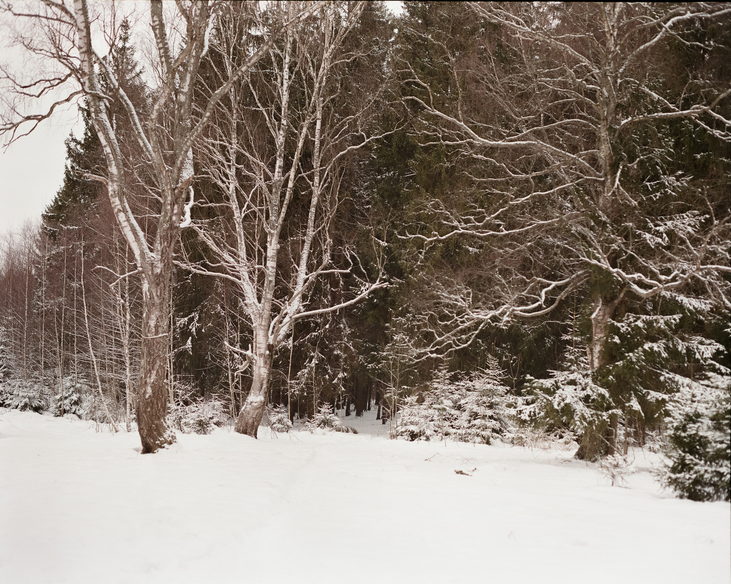 Pentax 67 — SMC Pentax 67 105 mm f/2.4