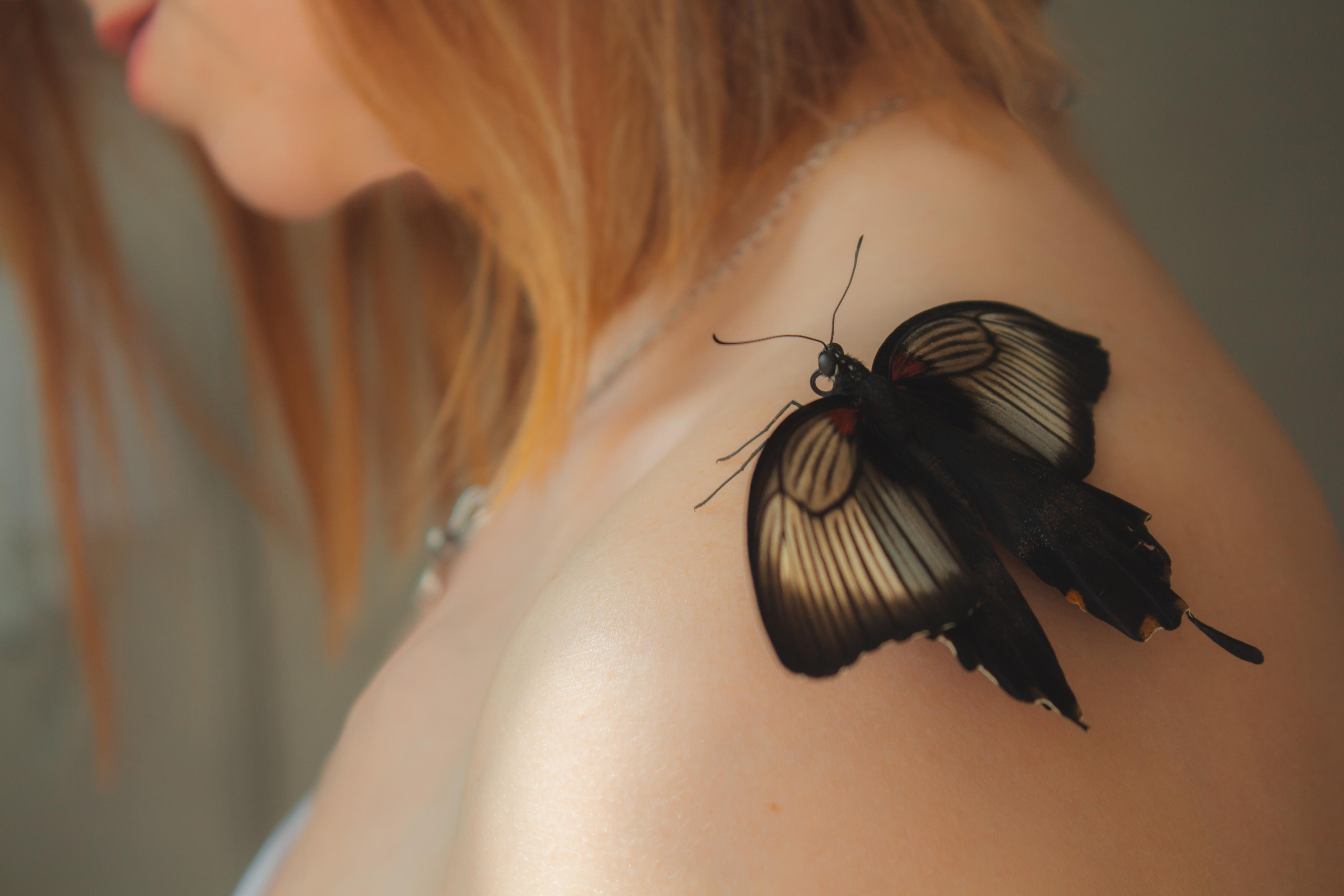 Невероятно волшебные бабочки!!!. Фотограф для вас и вашего бизнеса в Москве Альбина Никифоров