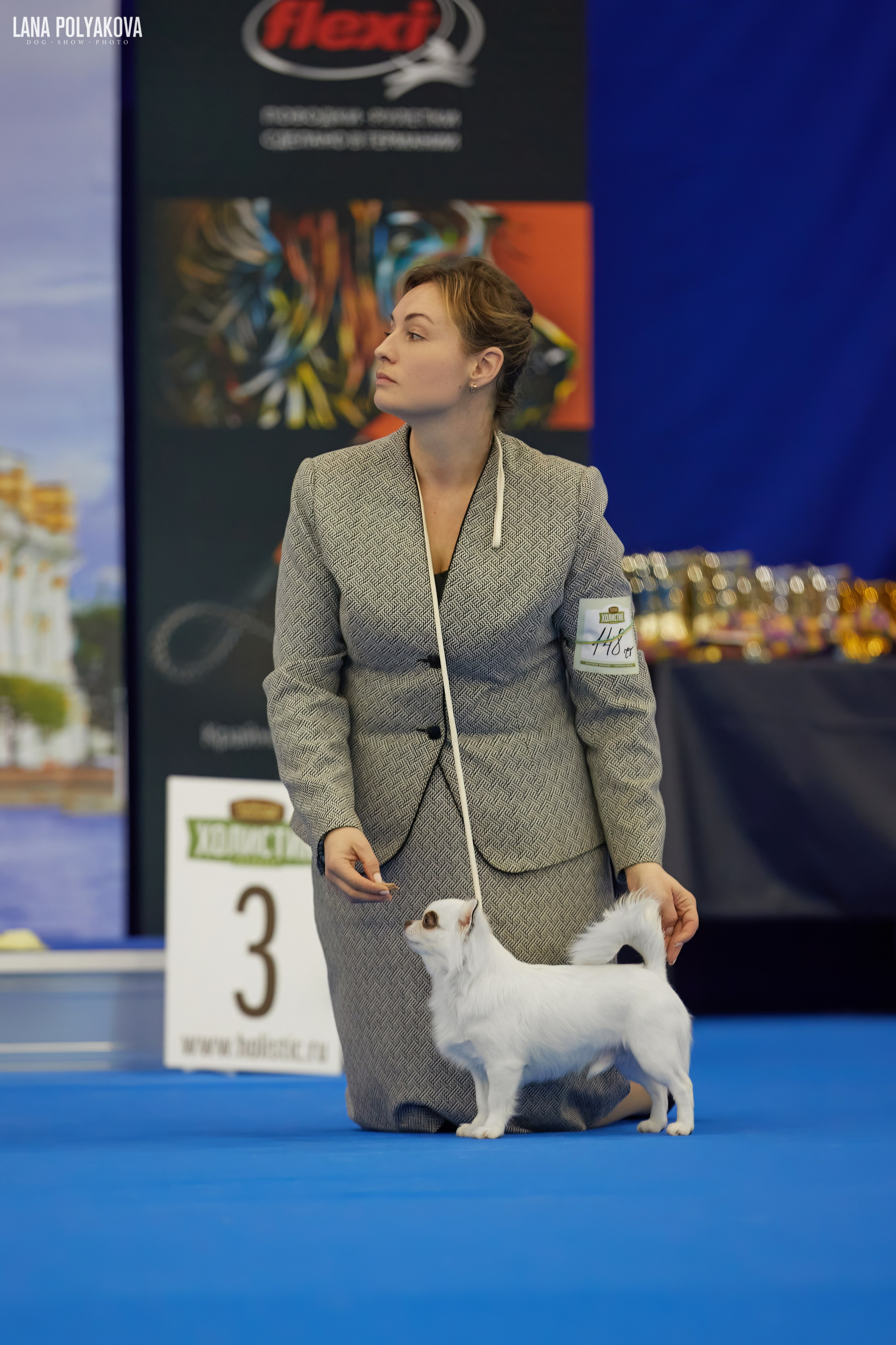 NDS GRAND PRIX «SPRING PETERSBURG 2024» «ELITE-PETERSBURG 2024». ФОТОГРАФ-АНИМАЛИСТ l LANA POLYAKOVA