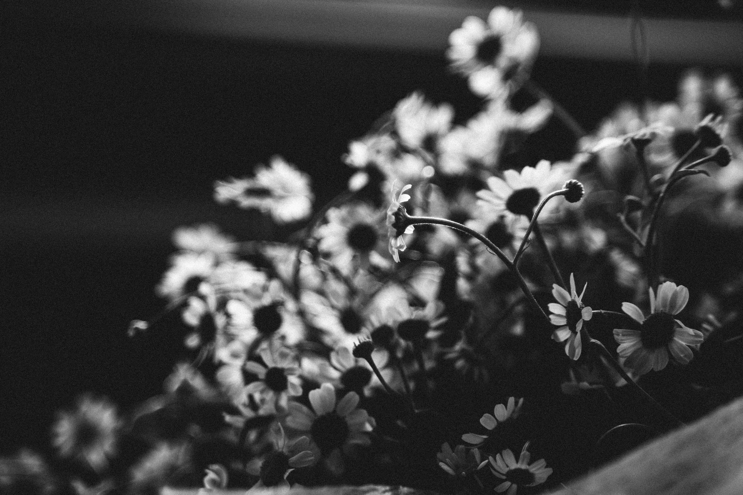 Однажды в пятницу. Миша Снимет | твой фотограф