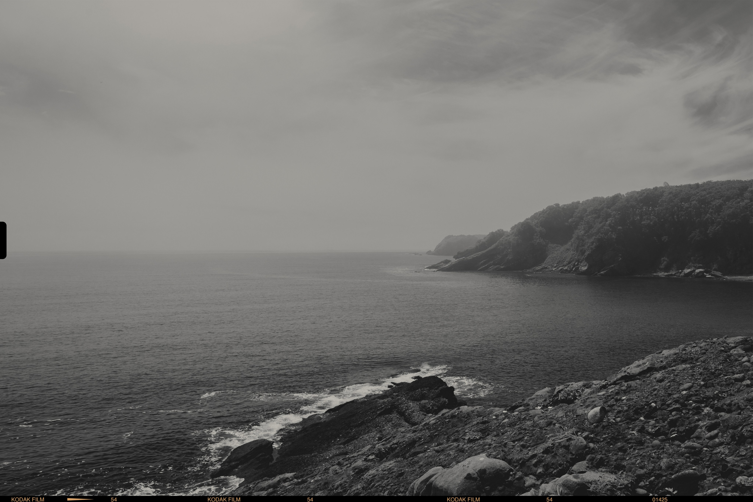 Шамора фото владивосток фотография черно белая природа