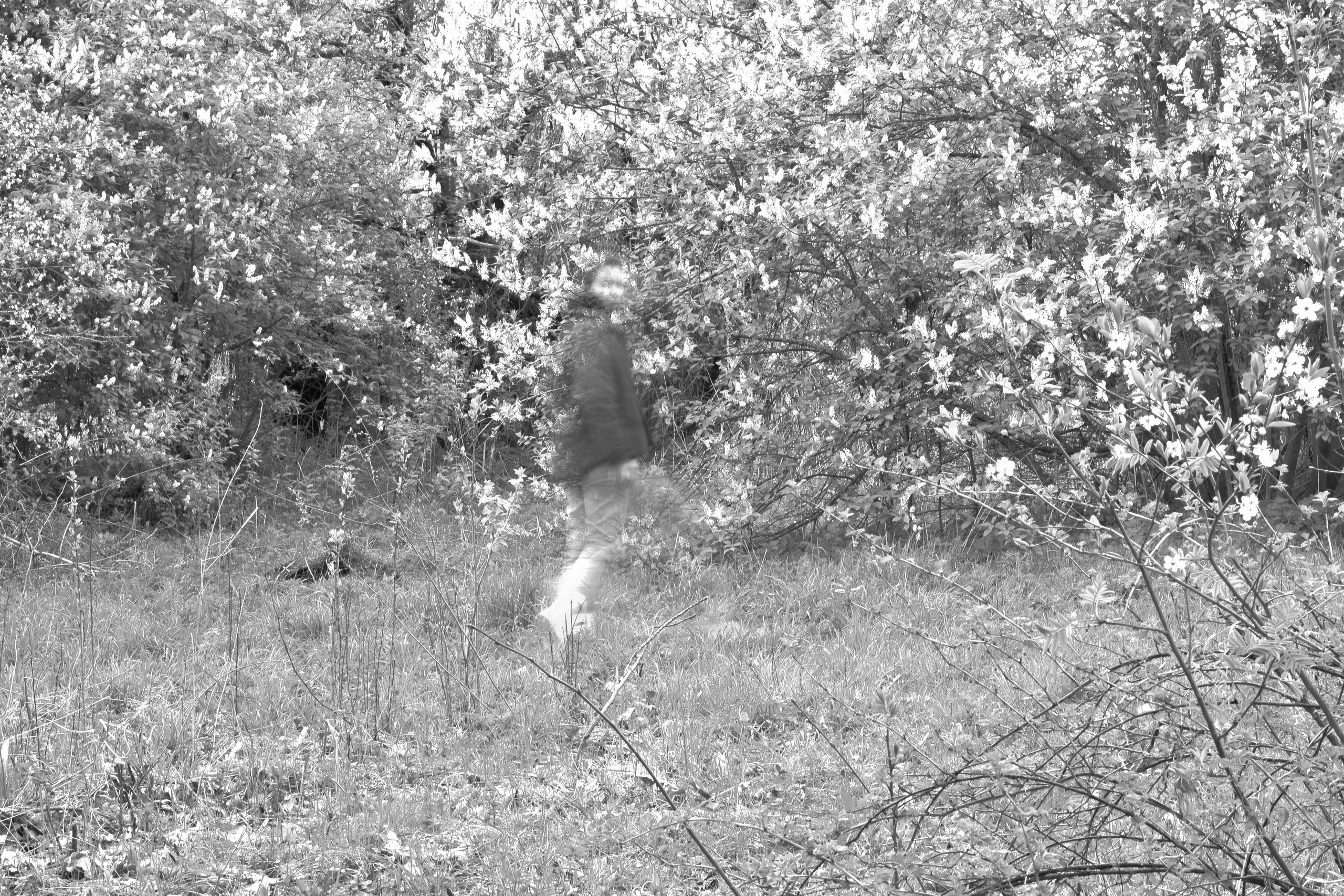 Волны. Главная