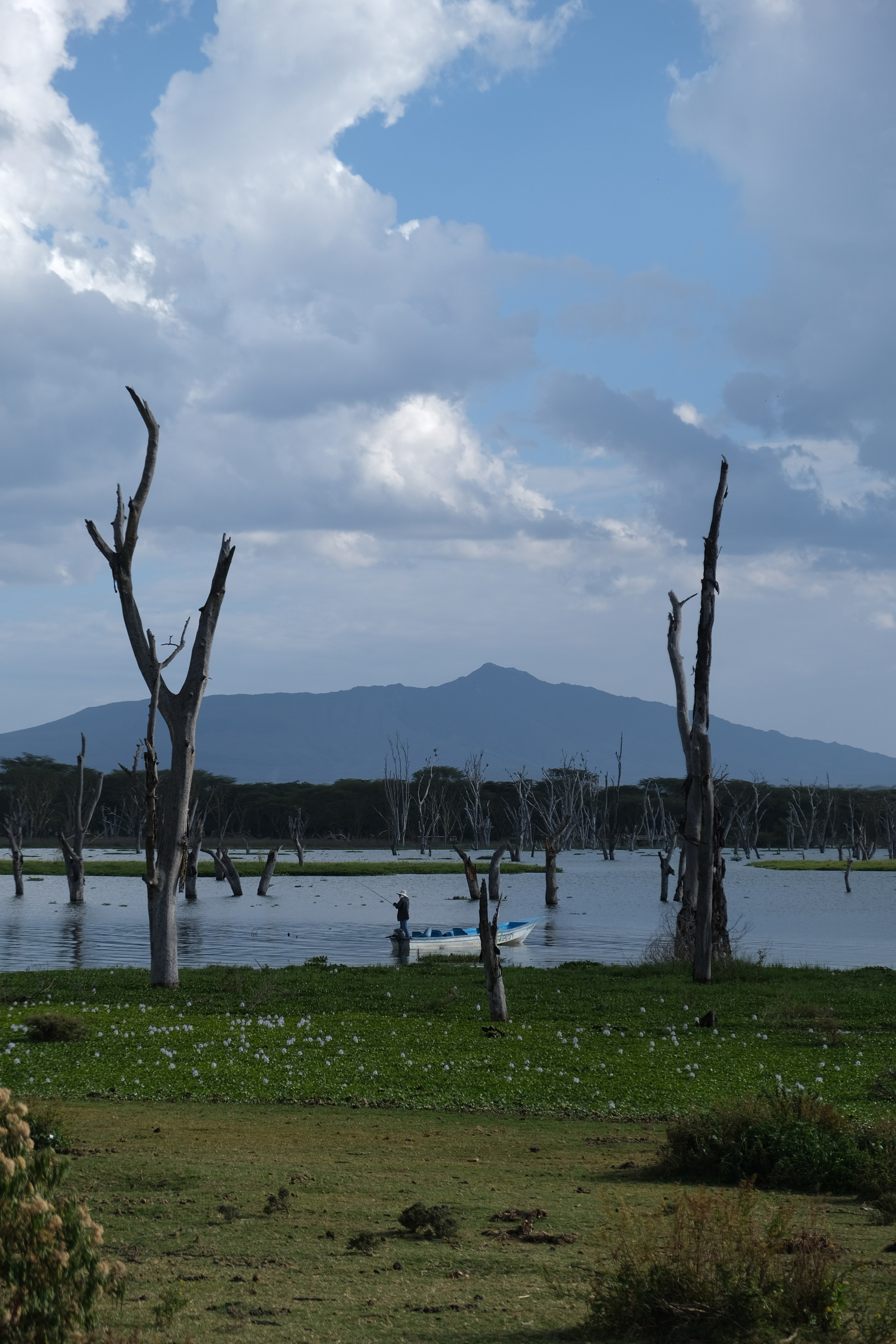Nataresso | фотограф Москва