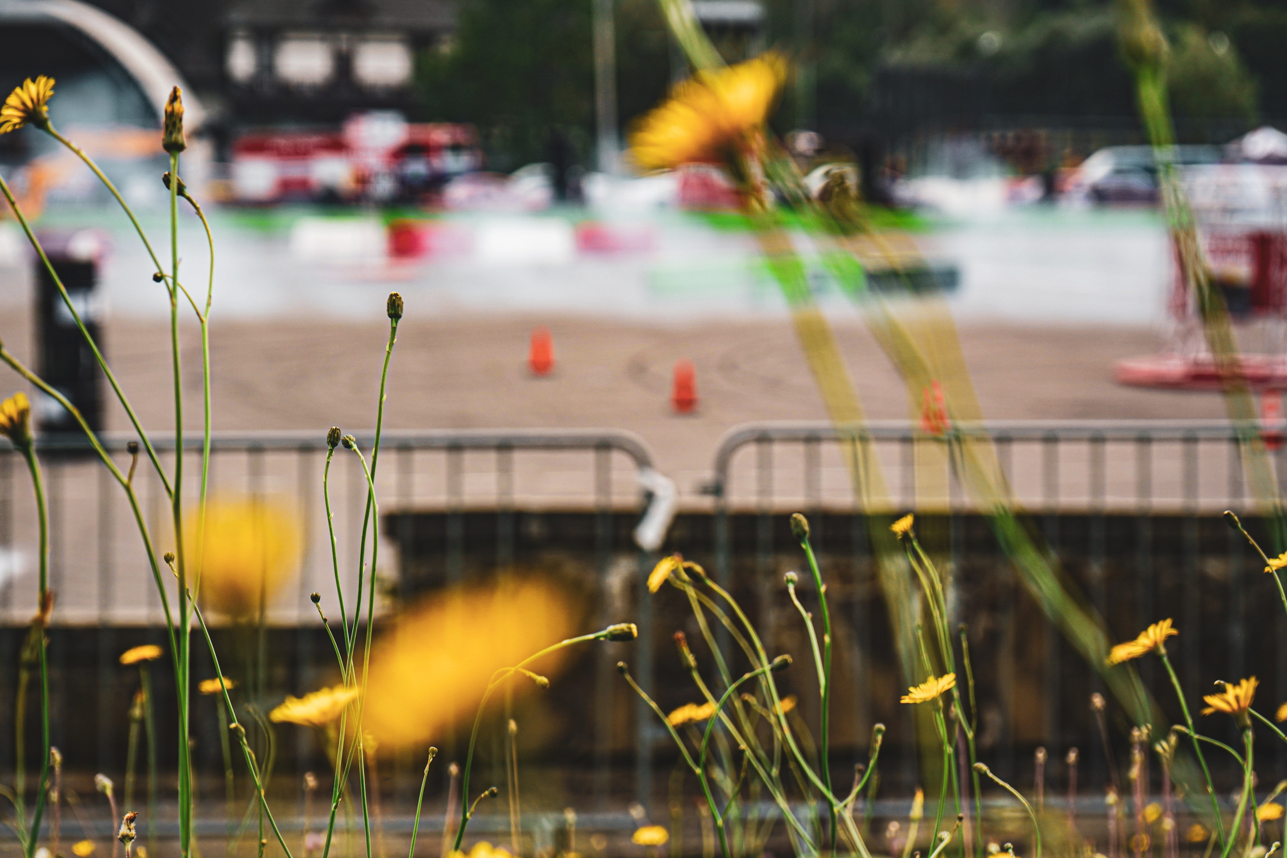 Объективно. Показываю жизнь через свои кадры