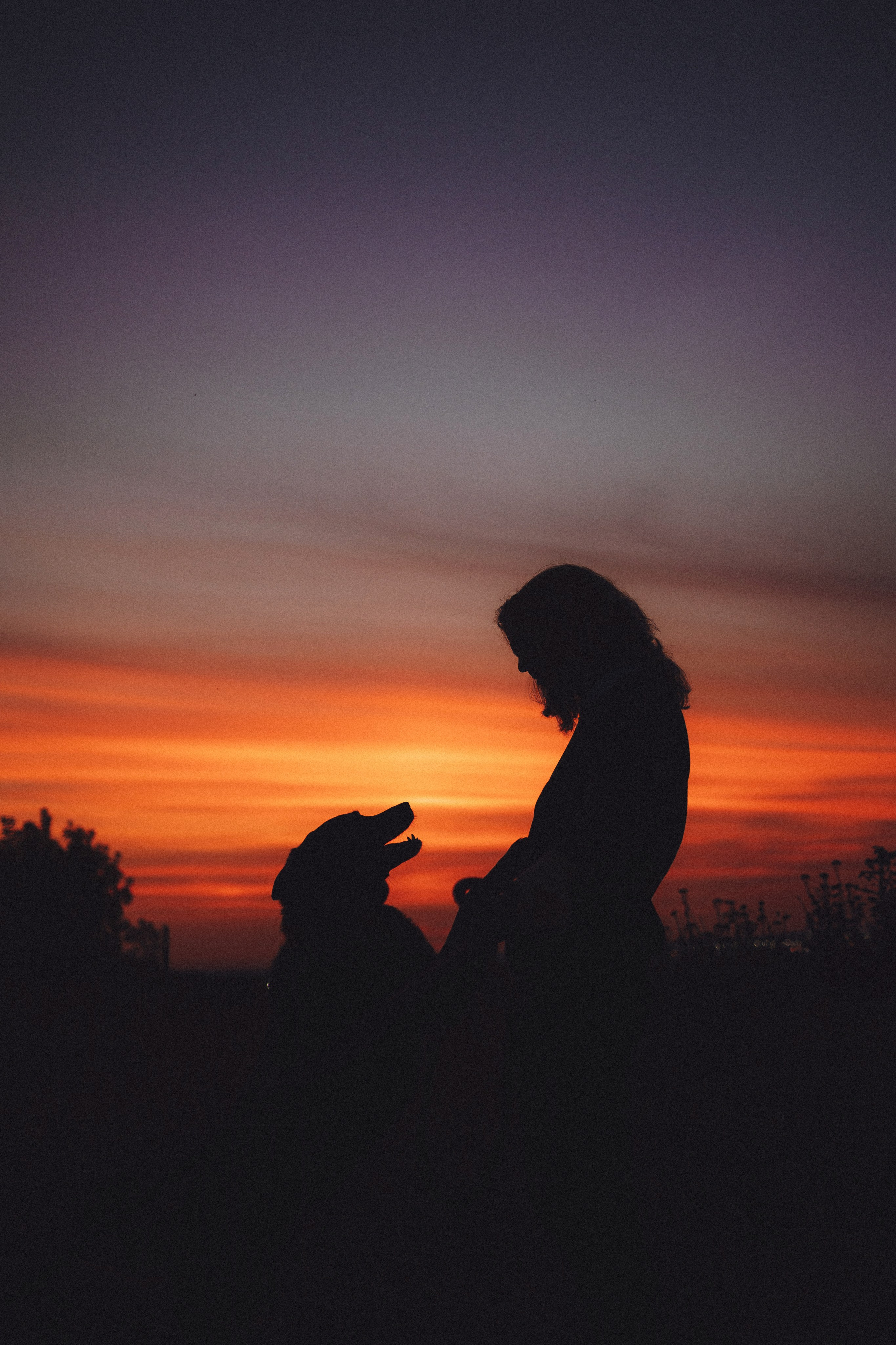 Лучшего времени, чем сейчас — не будет