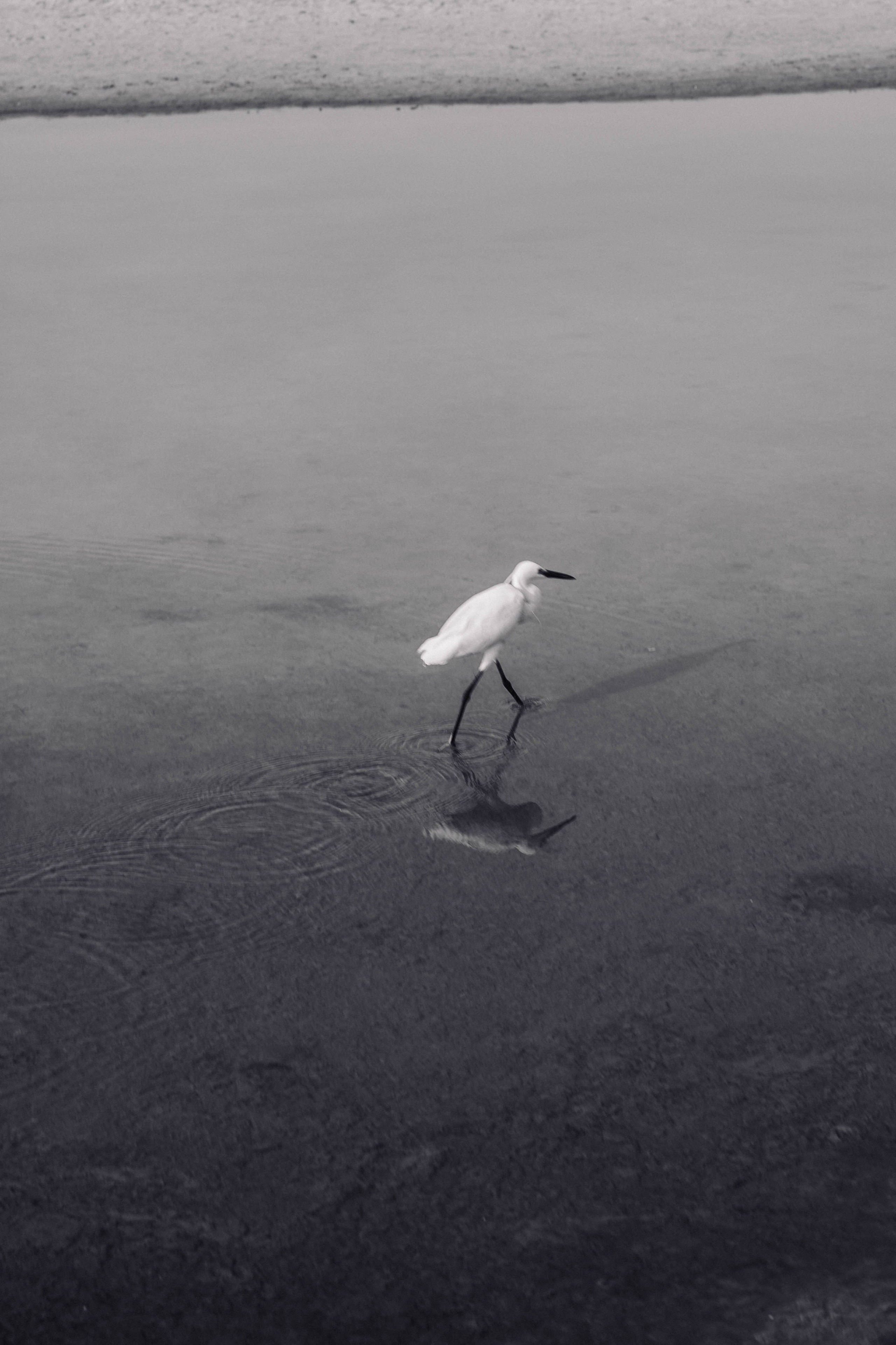 ИНДИЯ. Фотограф Анастасия Броварник в Санкт-Петербурге