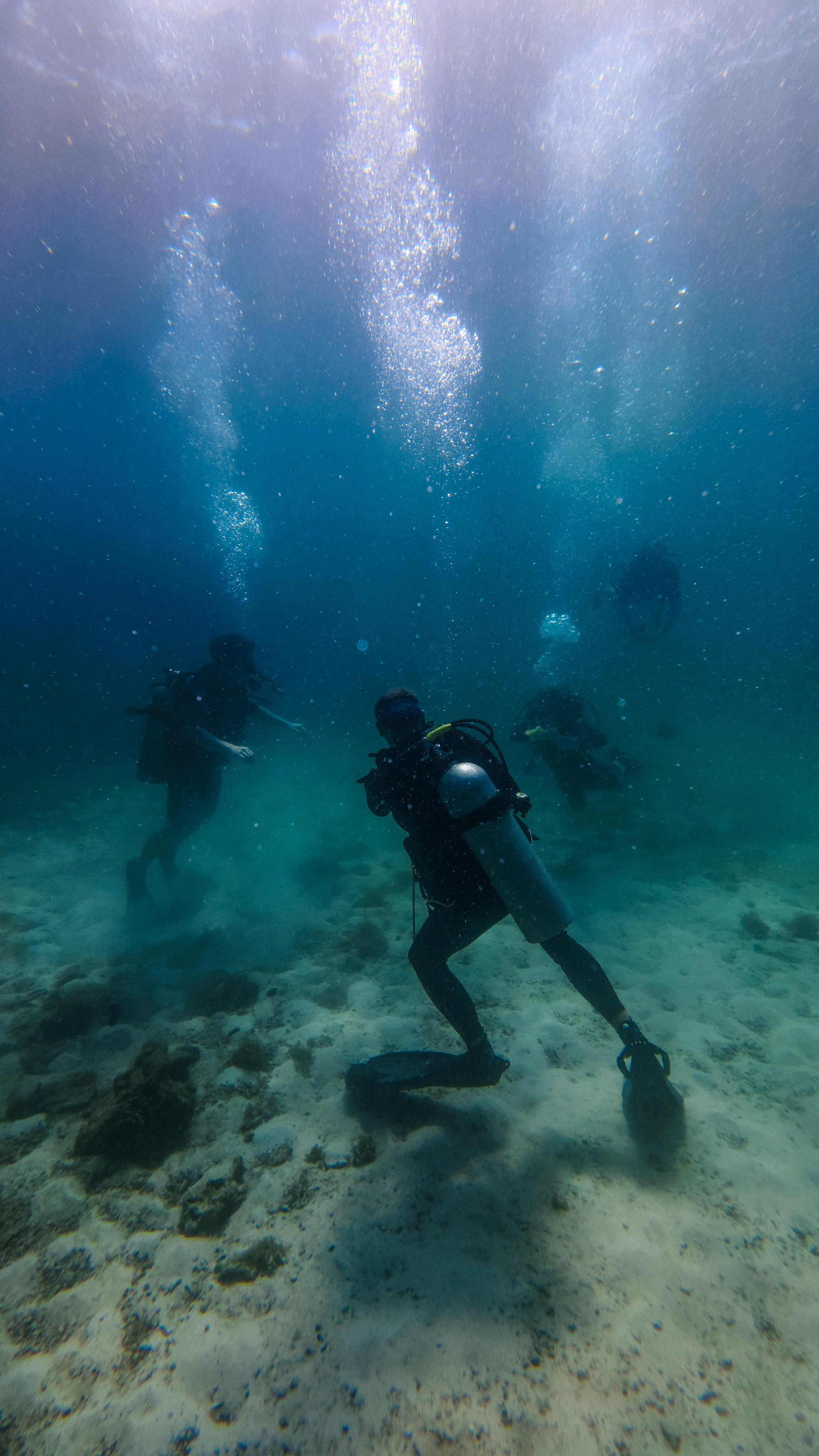 Для тех кто не боится сделать первый шаг. Дайвинг во Вьетнаме