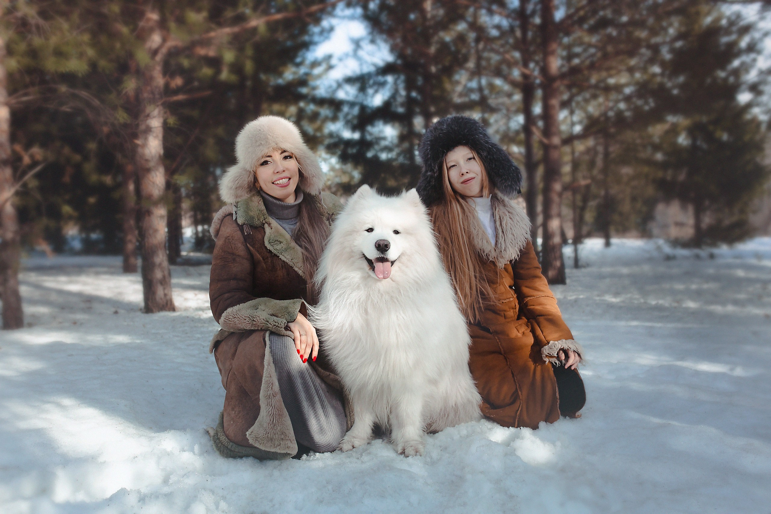 Фотосессия с пушистиком Самоедом. Семейный и детский фотограф в Ижевске Анастасия Камариттинова