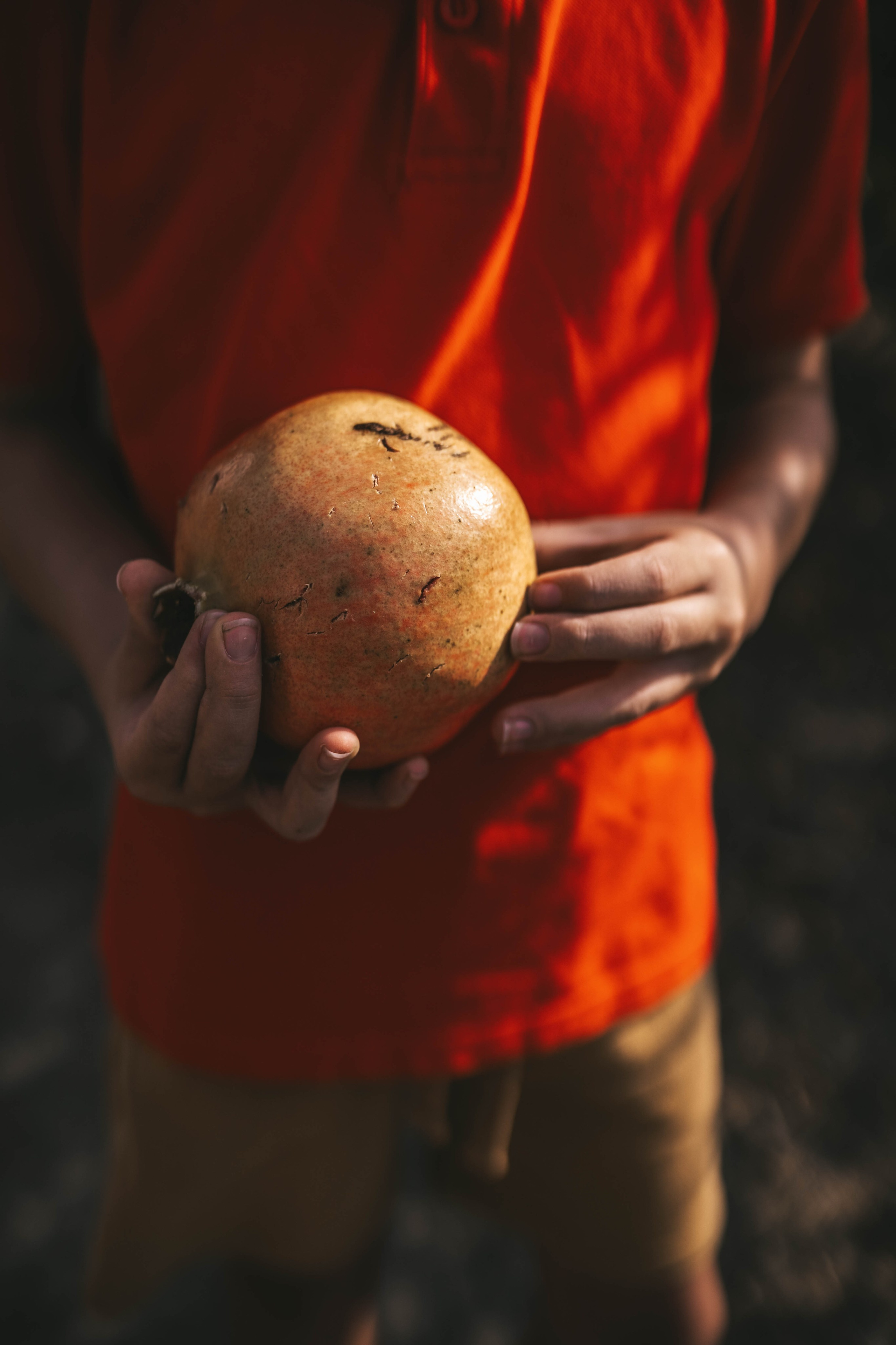 Гранатовый сад. Семейный и детский фотограф в Израиле и Москве Дорошок Надя