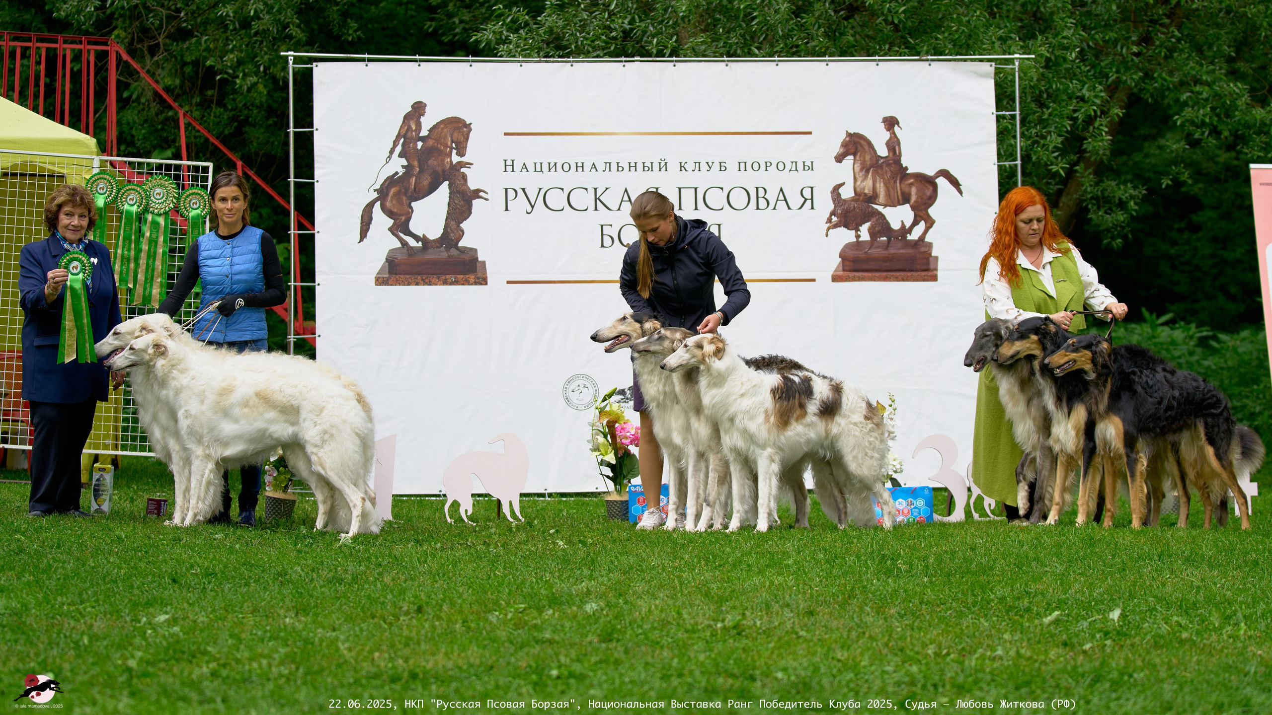 22.06.2025 | Национальная Выставка НКП "Русская Псовая Борзая"