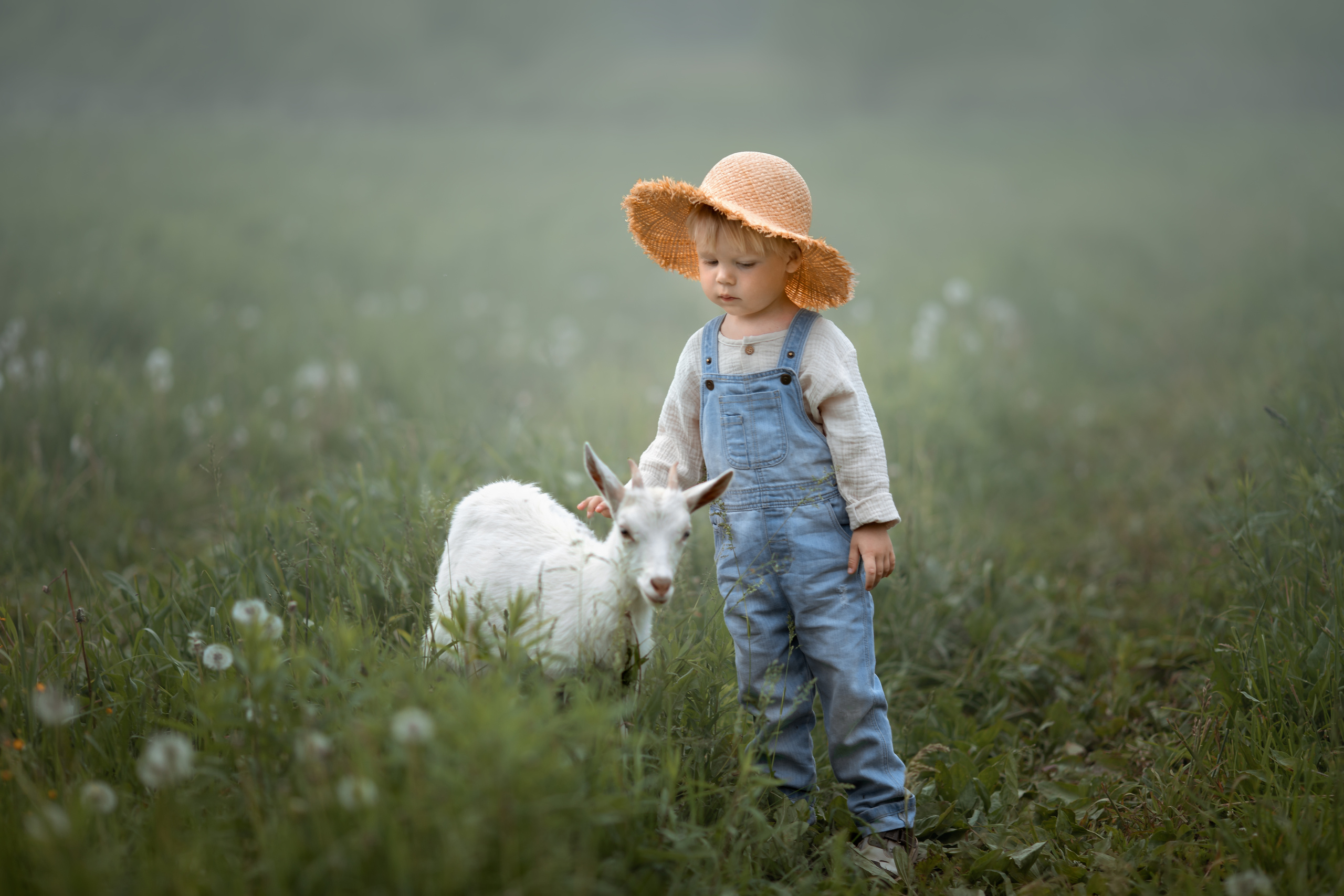 Arma Gray — Нижний Новгород