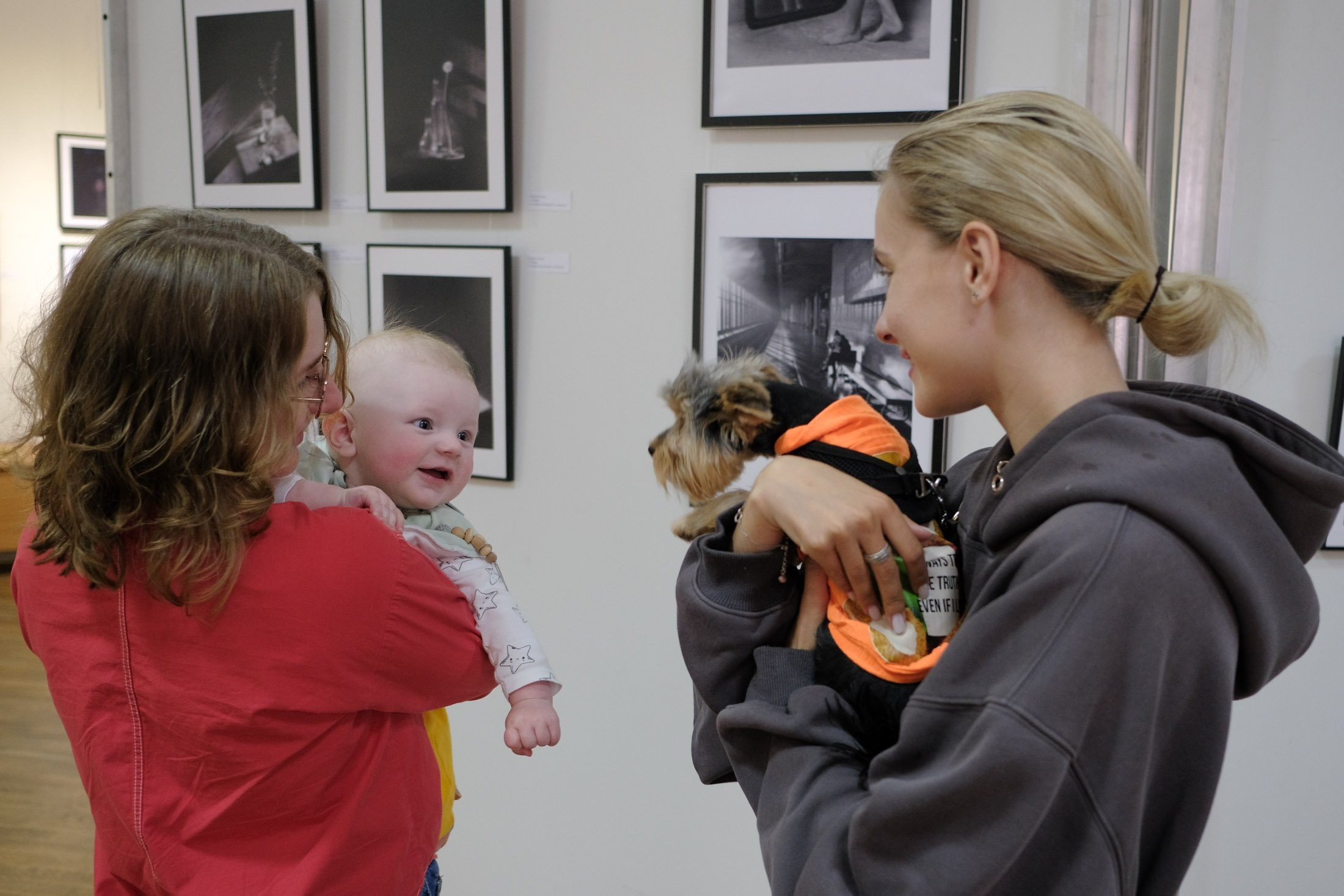 Участвую в выставке Союза фотохудожников России, Краснодар. Фотограф Наталия Шляпина в Ростове-на-Дону