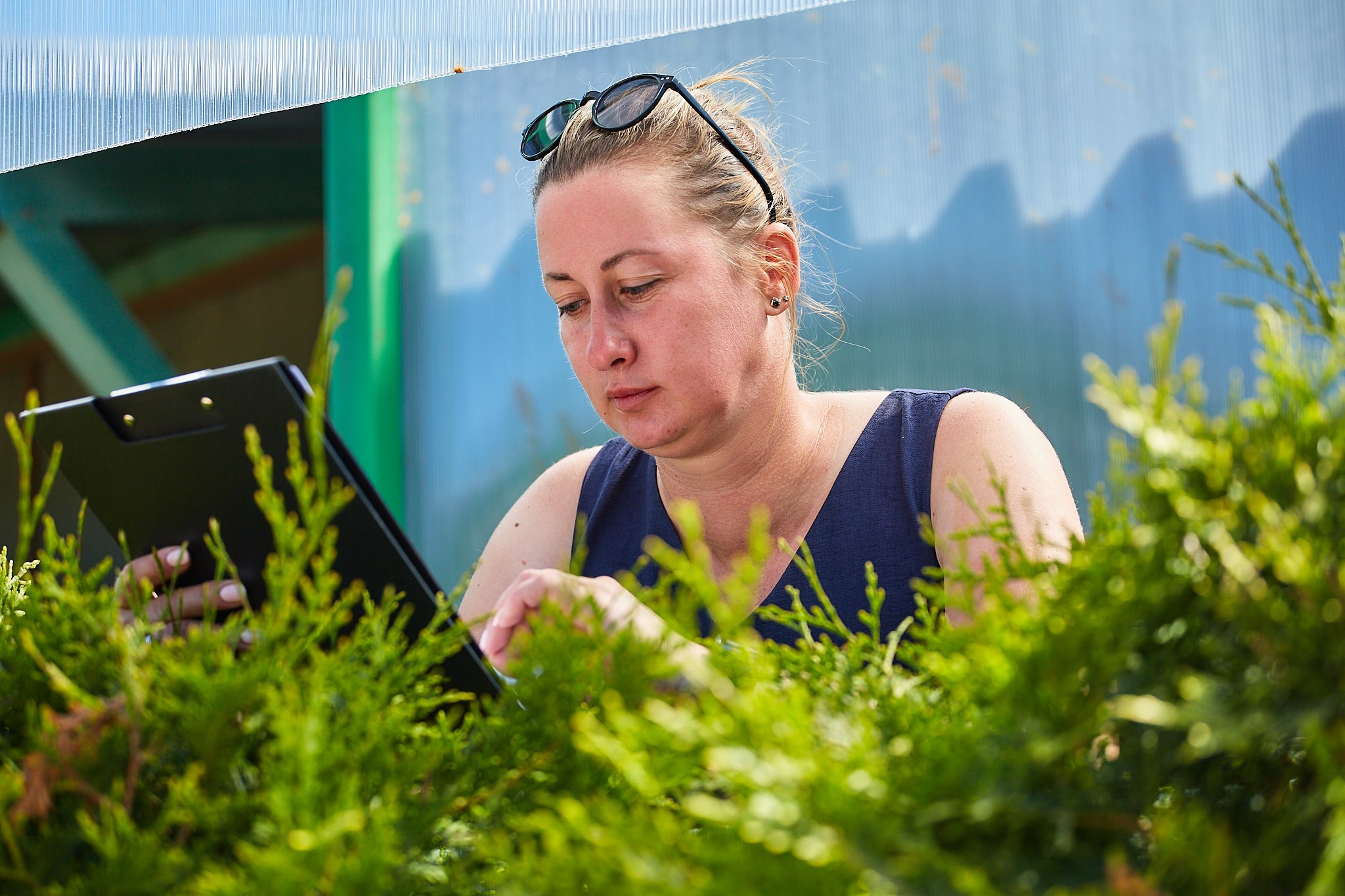 Выездка в WINNER