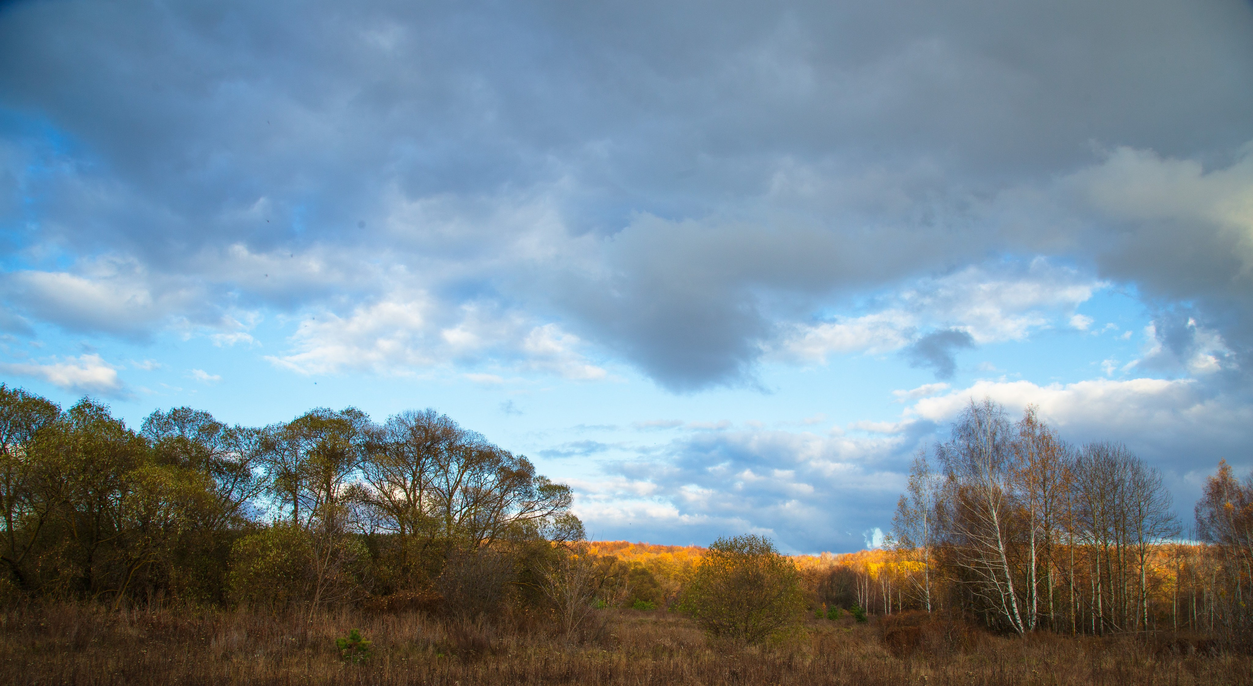ТВОРЧЕСТВО. Творческая студия АЛНИфото