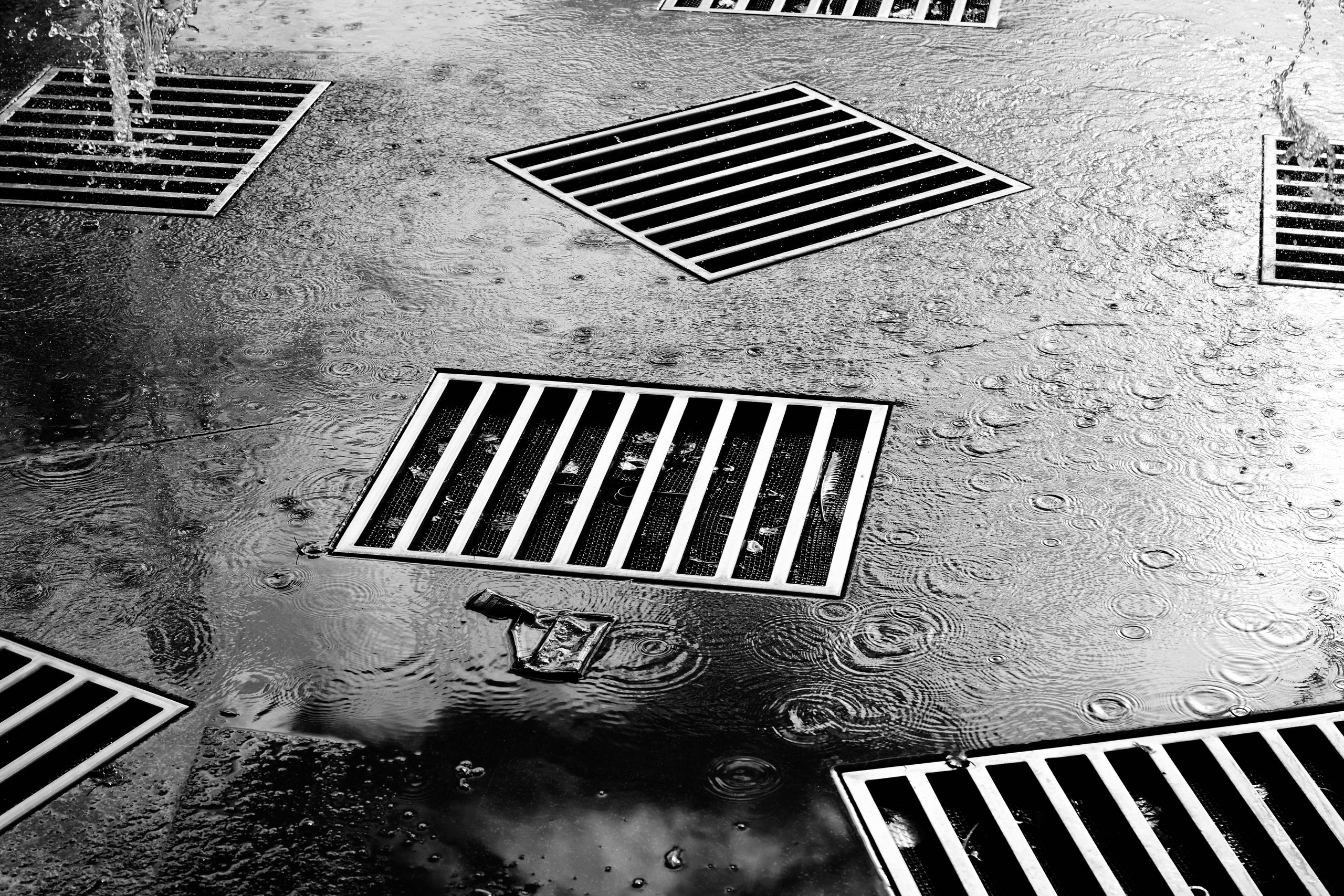 Русский север 27.09.25 — 05.10.25. Фотострелка