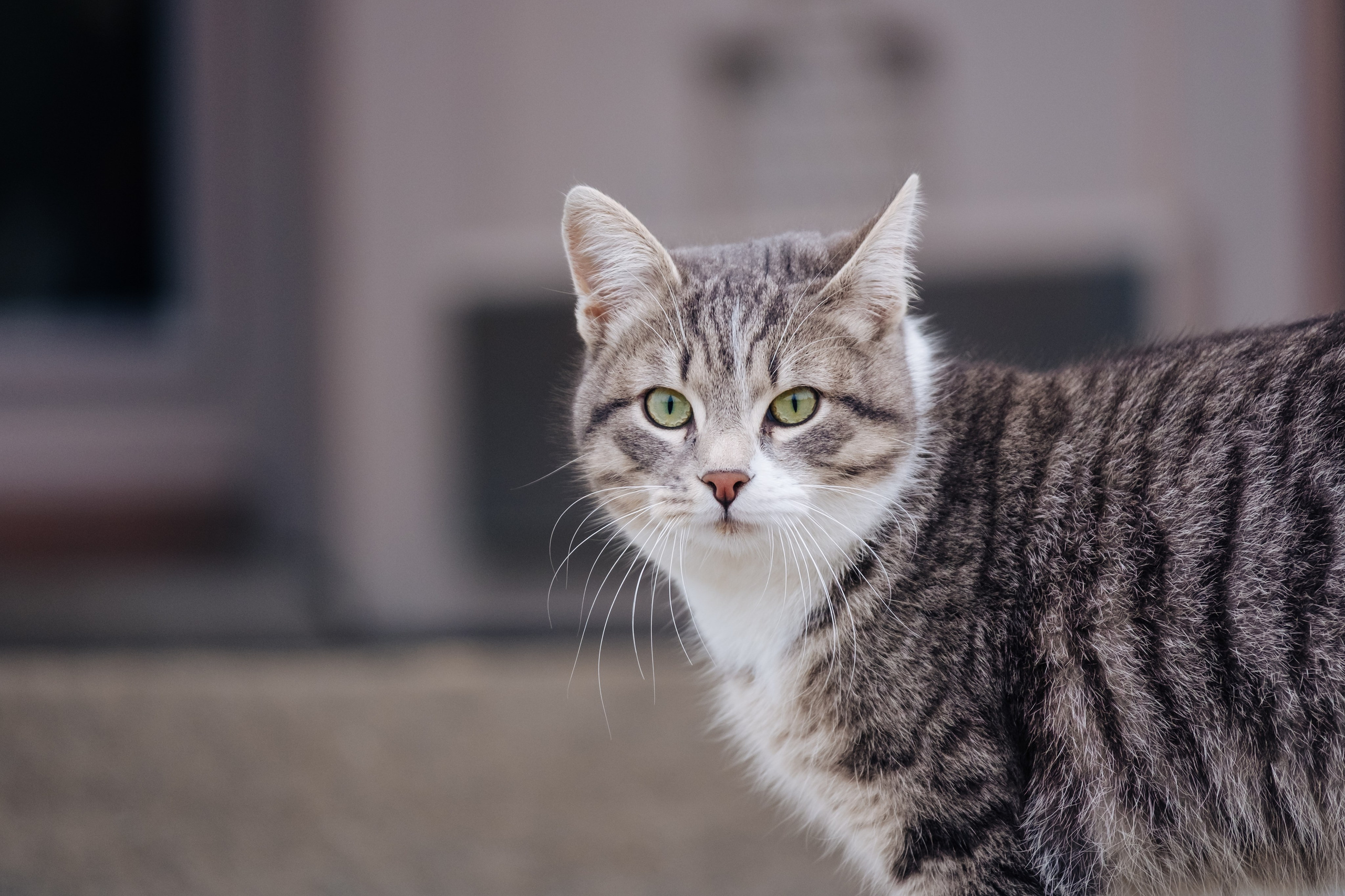 Новый Херсонес. Сайт фотографа Дмитрия Батенёва