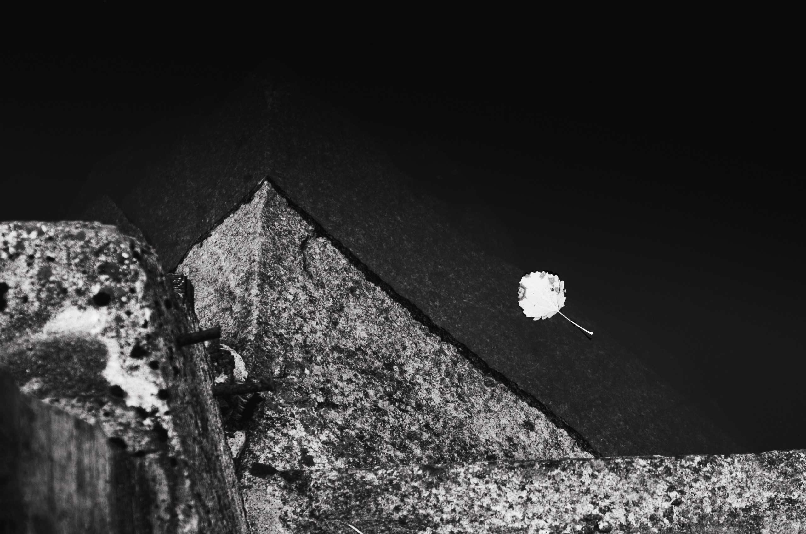 Фотограф Даниил Богомолов, Санкт-Петербург