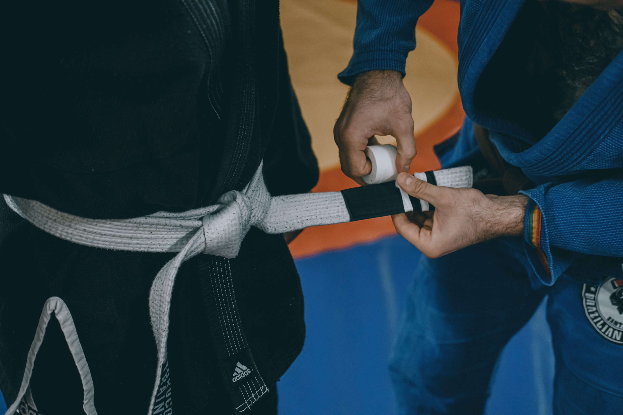 Аттестация Universal Jiu-Jitsu. Спортивный и портретный фотограф в Санкт-Петербурге Дарья Кашина