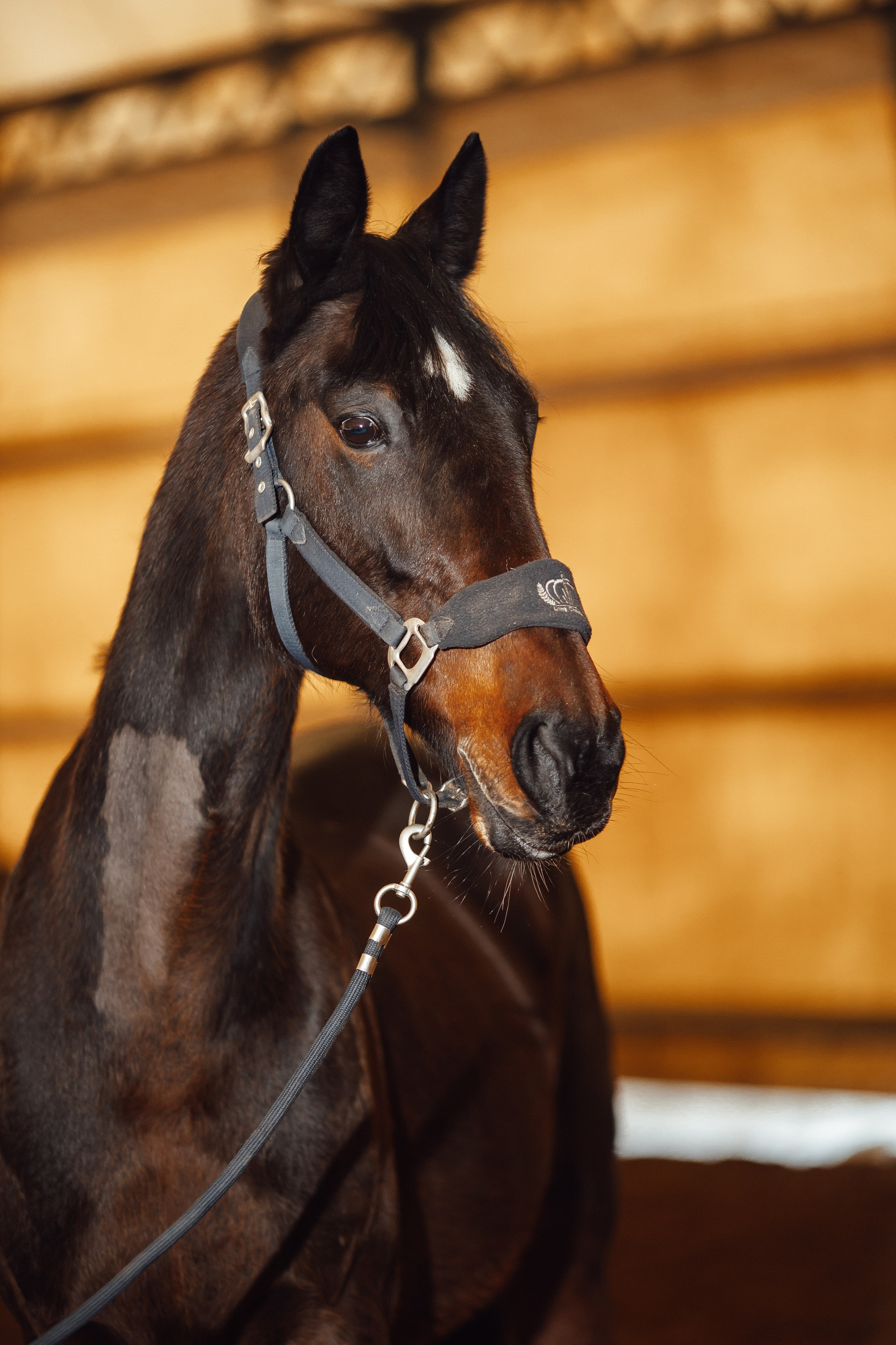 Вилла. Фотограф Варвара Ермоленко